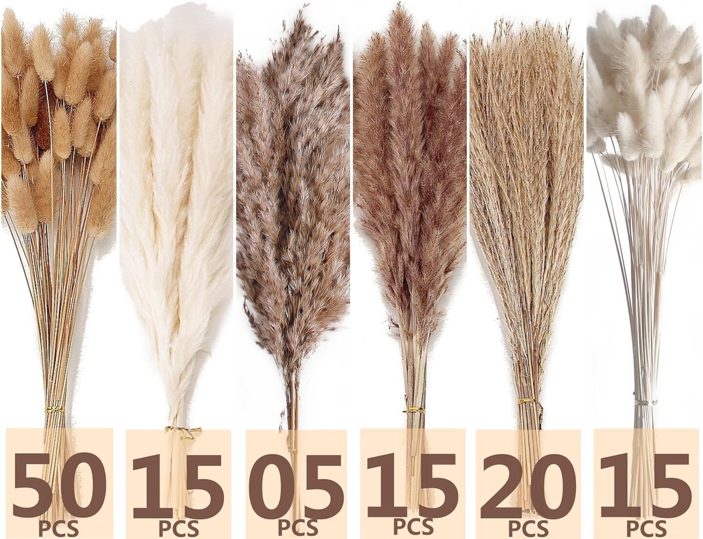 Dried Pampas Grass Decor (White and Brown)