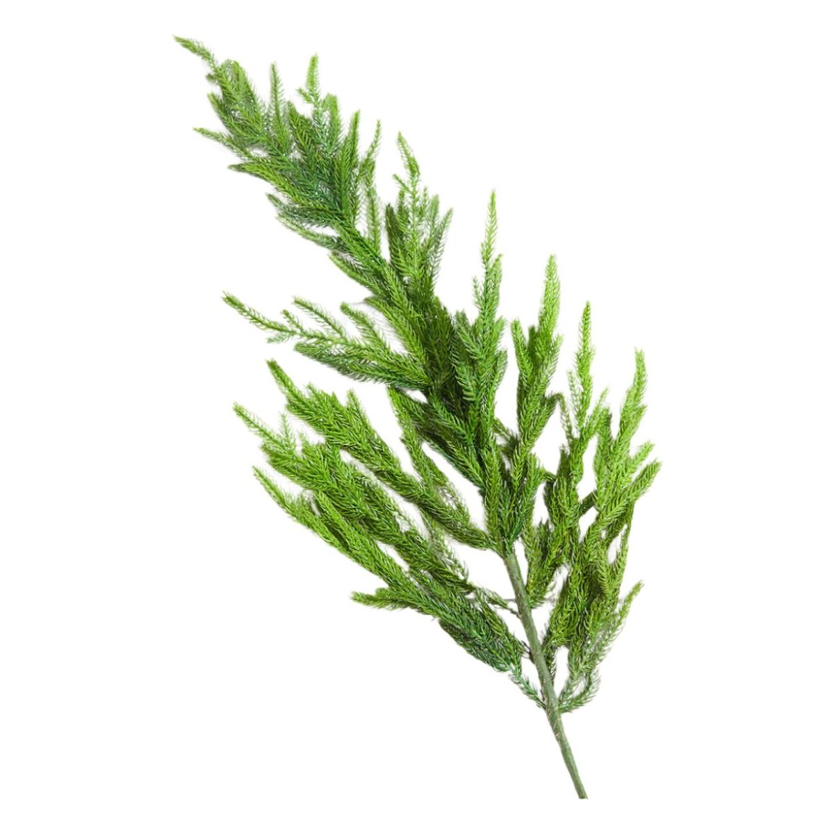 18&#x22; Soft Touch Norfolk Pine Pick