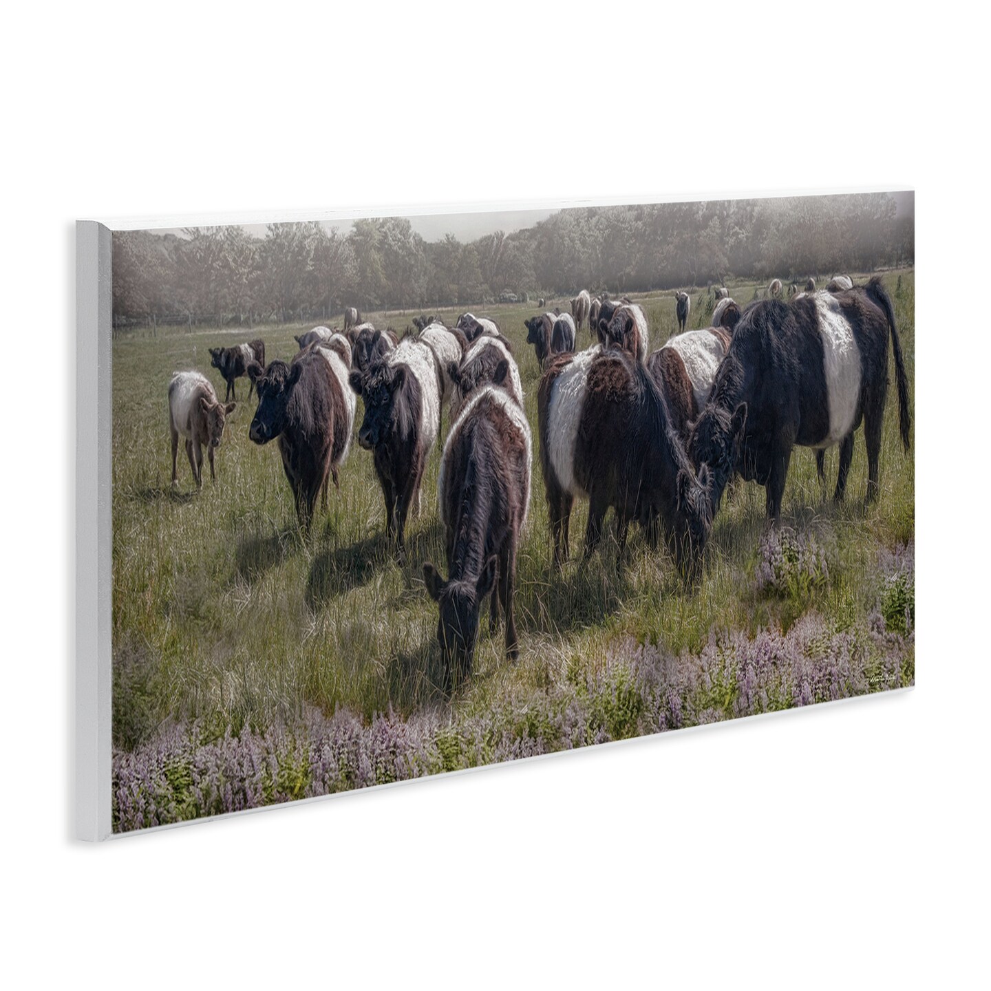 Stupell Industries Black Cows Grazing in Pasture Wall Plaque Design by Robin-Lee Viera