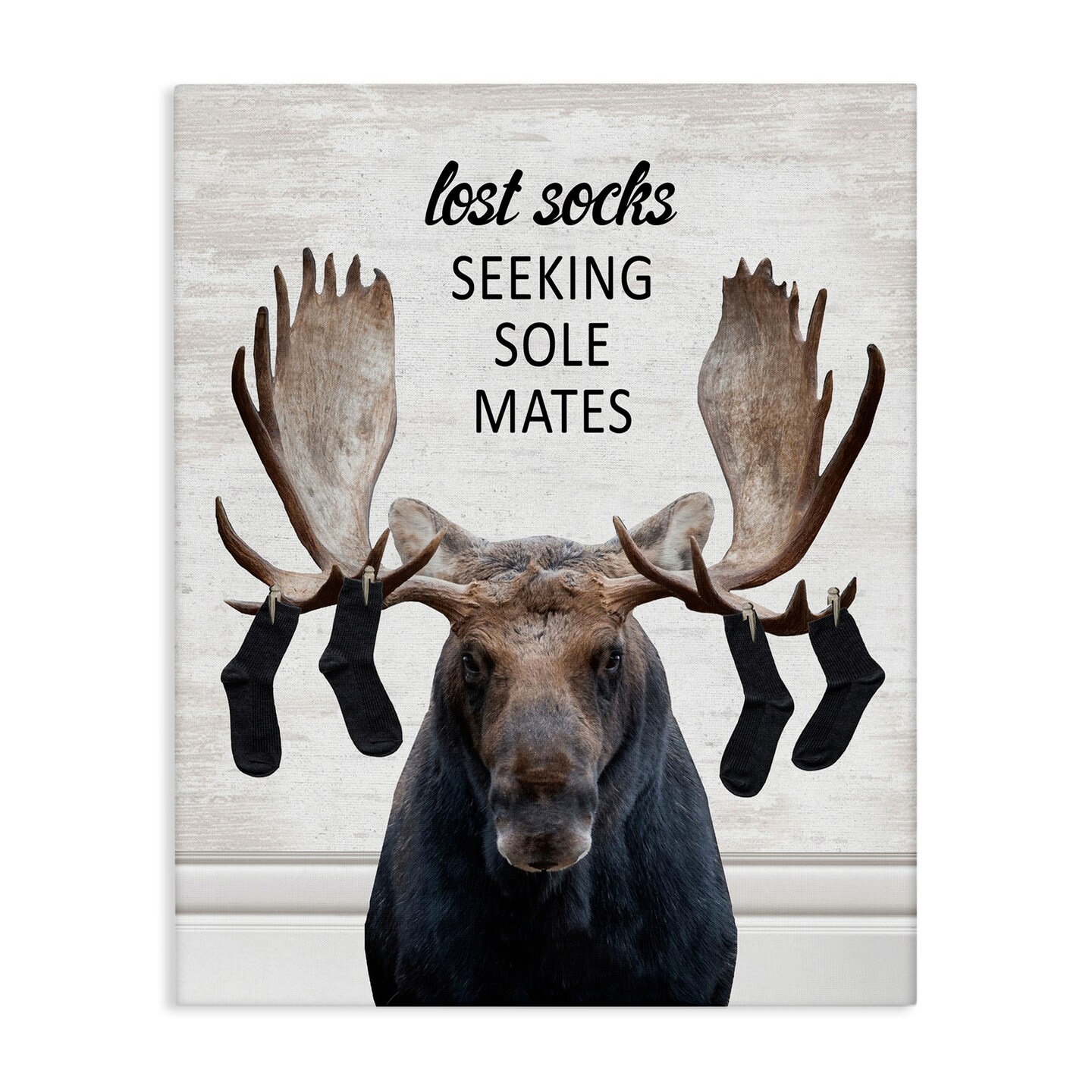 Stupell Industries Lost Socks Seeking Sole Mates Canvas Design by Lettered and Lined