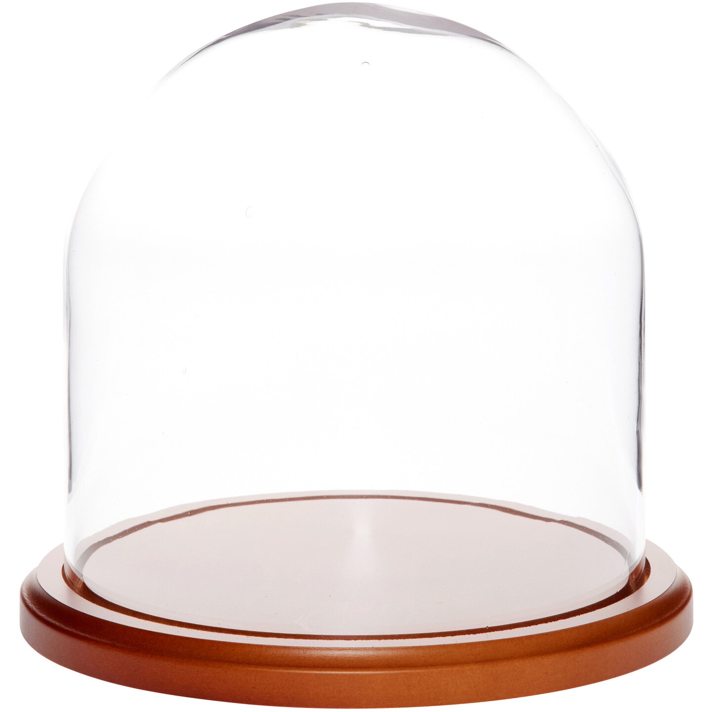 Plymor 8&#x22; x 8&#x22; Glass Display Dome Cloche