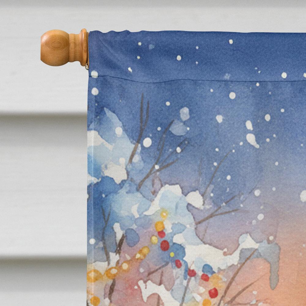 Edge Collection - Multicolor - Decorative Garden Flag for Yard & Patio - 1 Piece