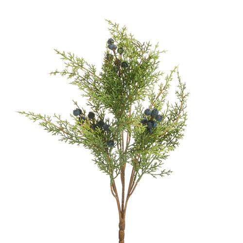 17&#x22; Juniper with Berries Bundle