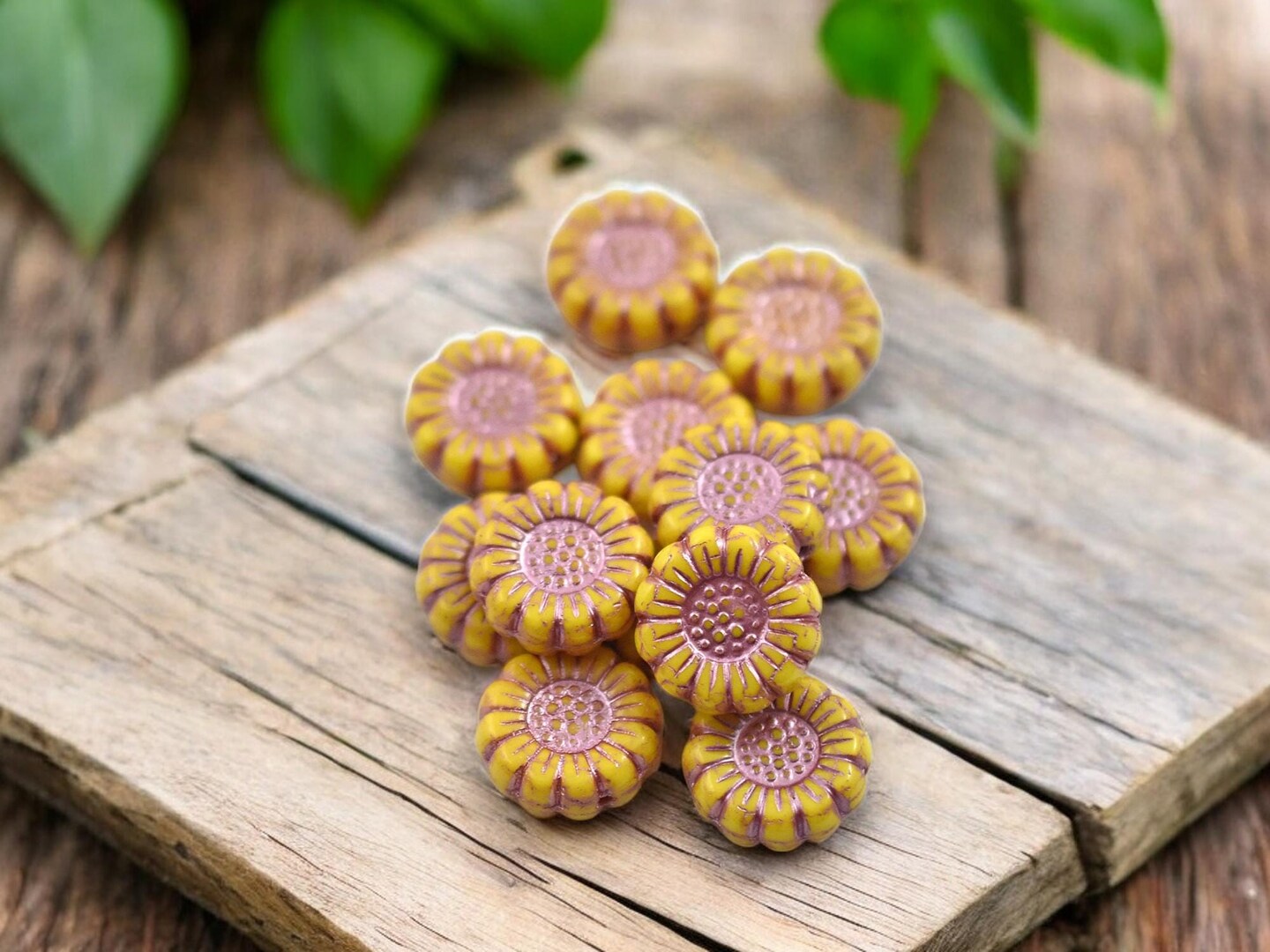 *12* 13mm Metallic Pink Washed Opaque Yellow Sunflower Coin Beads