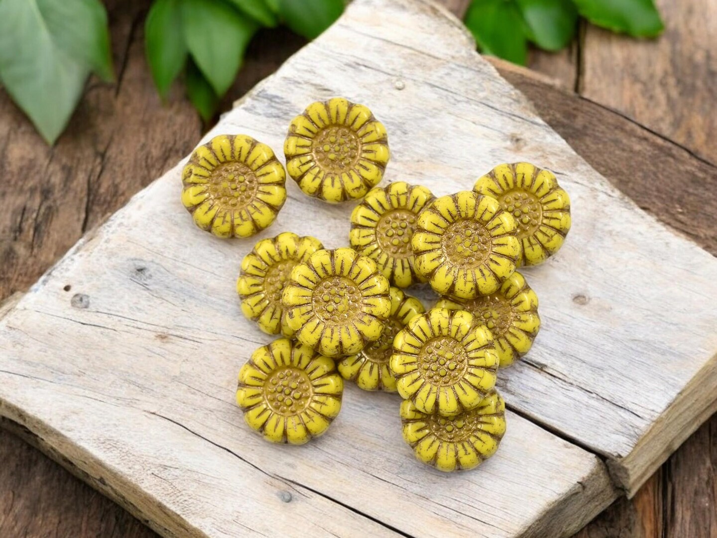 *12* 13mm Dark Bronze Washed Opaque Yellow Sunflower Coin Beads