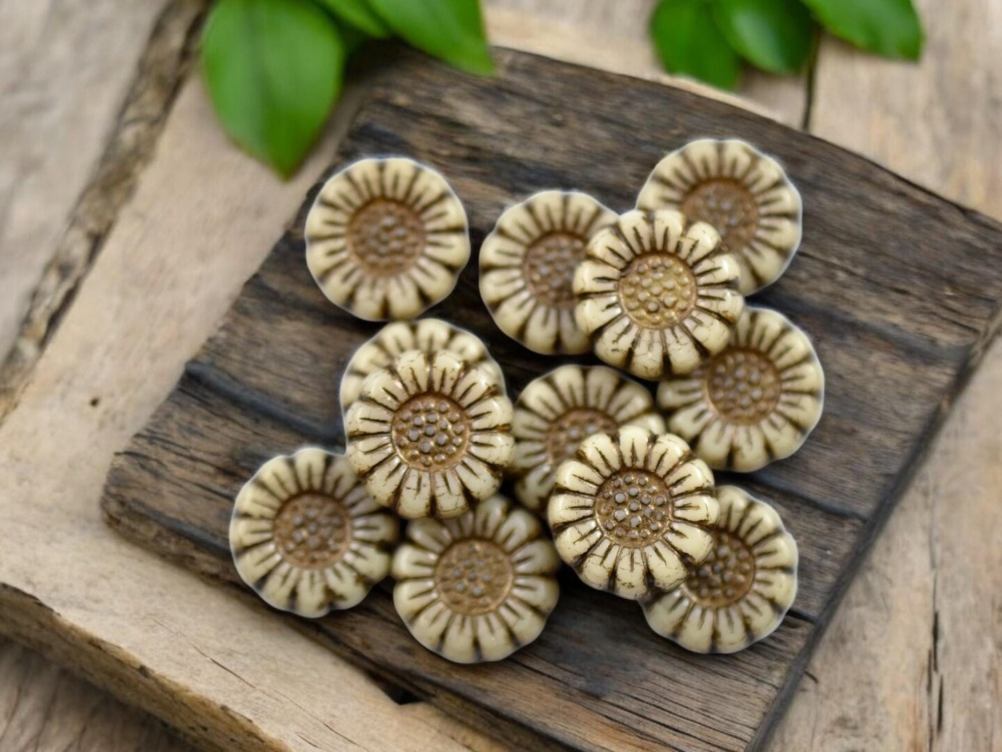 *12* 13mm Dark Bronze Washed Opaque Ivory Sunflower Coin Beads