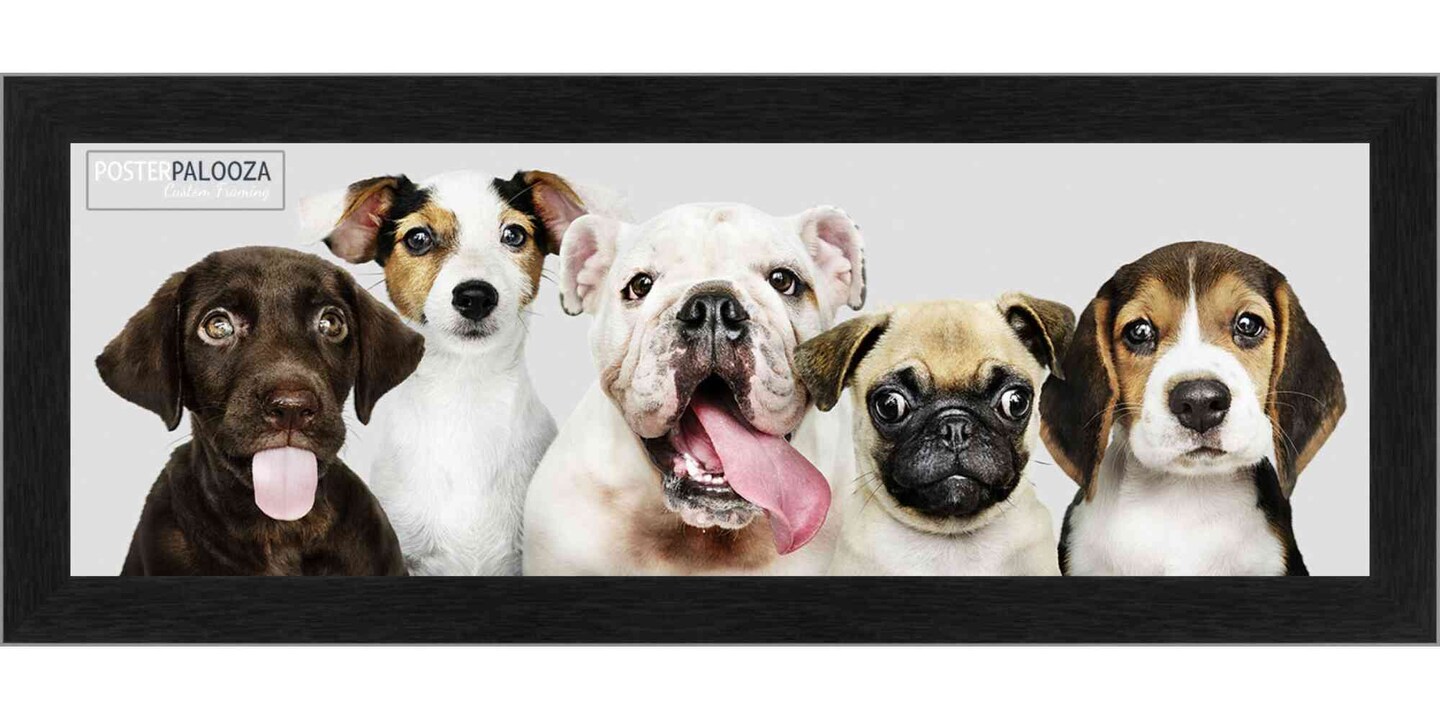 Panoramic Classic Modern Grey Frame - UV Acrylic, Foam Board Backing, Hanging Hardware