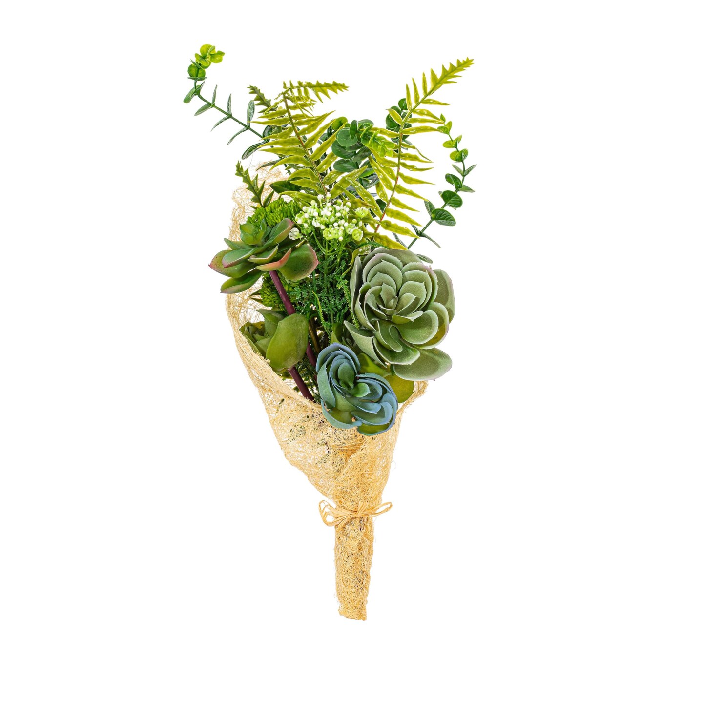 succulent plants seeds Organic Sedum Succulent Plant Seeds in Mixed Colors  Heirloom, Non-GMO