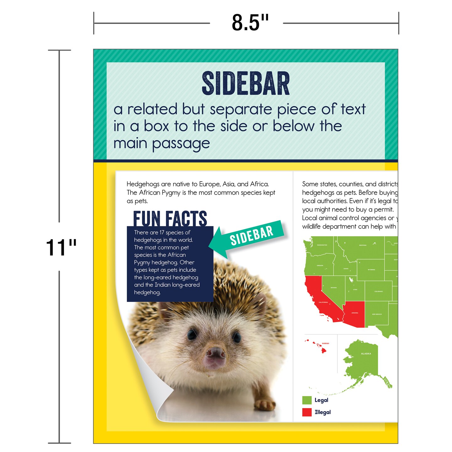Carson Dellosa 14-Piece Nonfiction Text Posters, 8.5&#x22; x 11&#x22; Reading Comprehension Wall Decor, Classroom and Office Decorations, English Language Arts Teacher Supplies