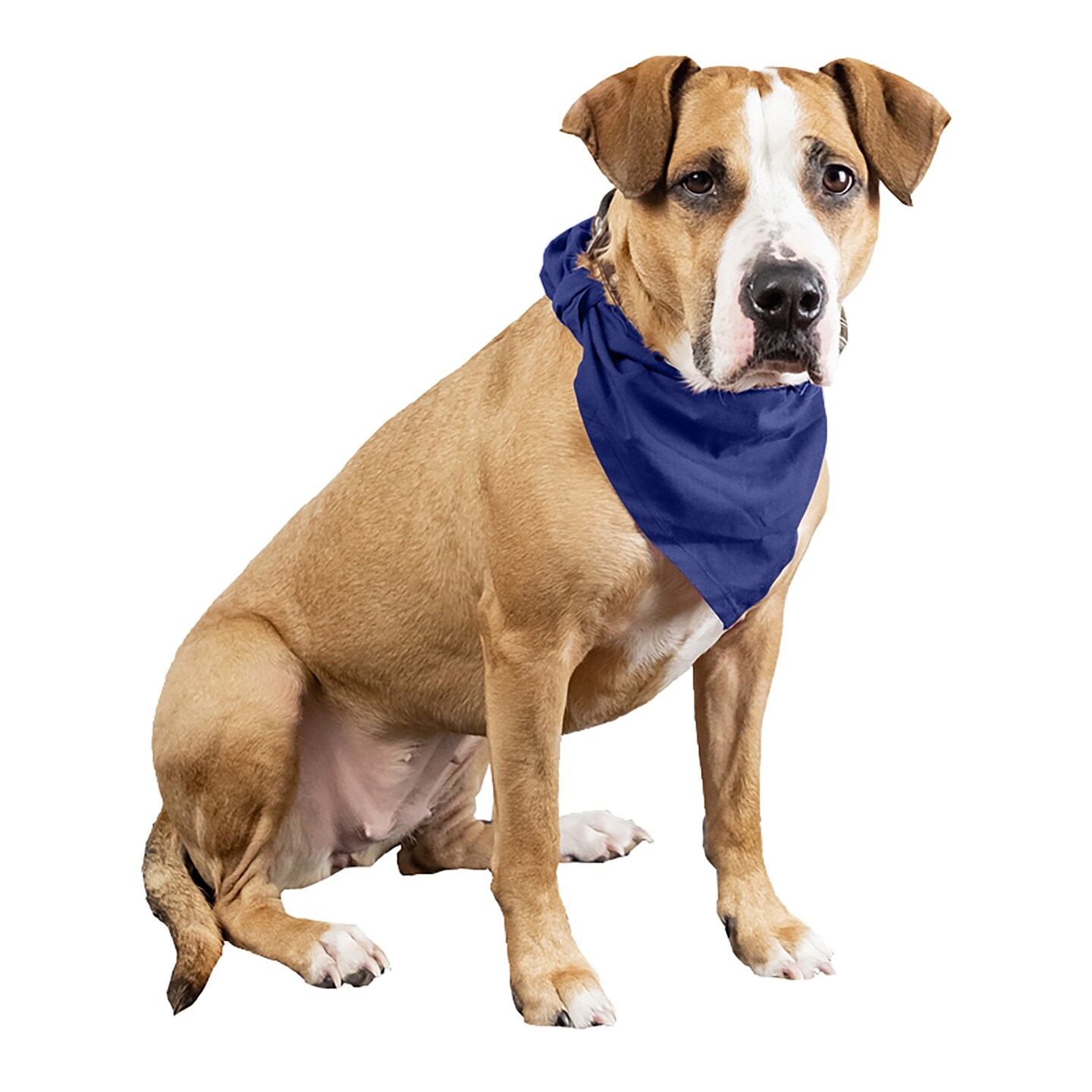 4 Pcs Plain Cotton Pets Dogs Bandana Triangle Shape - Large & Washable