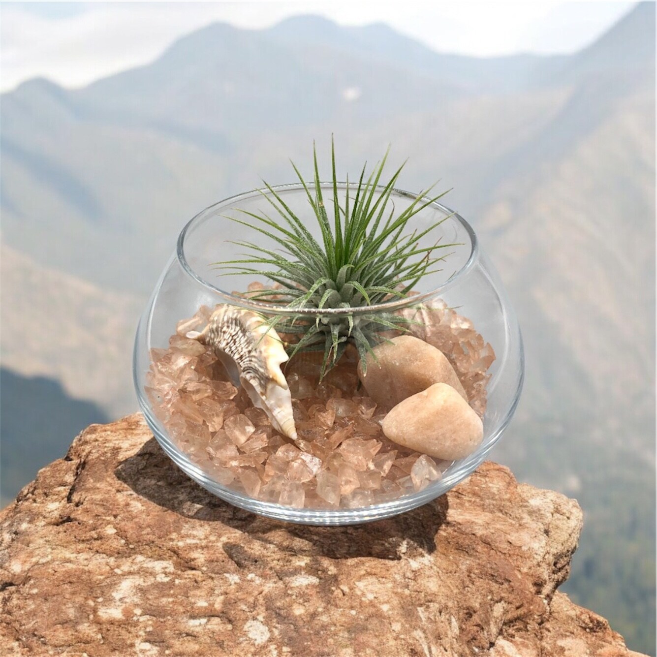 Crystal Air Plant Glass Vase Terrarium DIY Kit | MakerPlace by Michaels