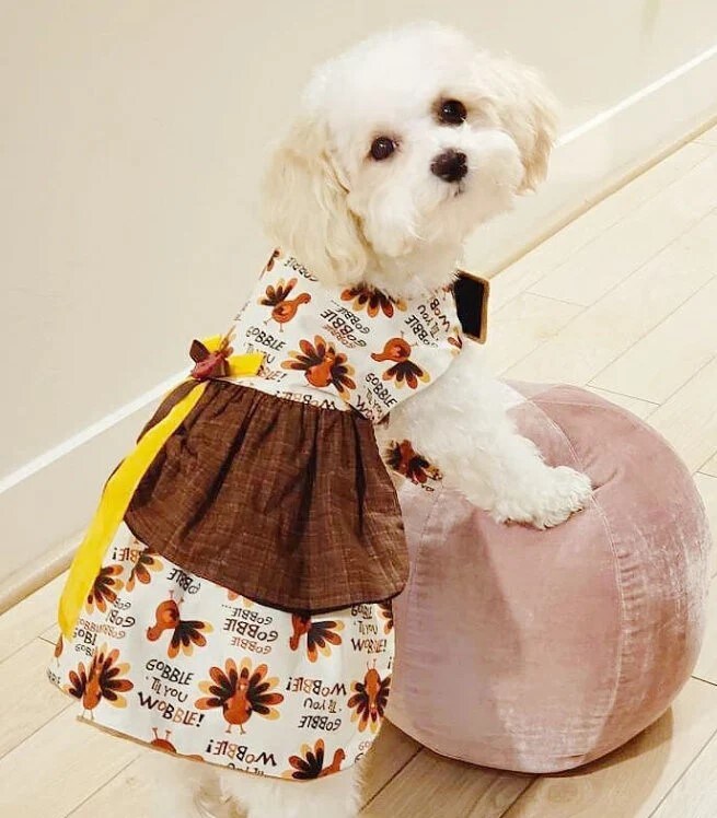 Thanksgiving outfit Turkey dog dress Turkey dog outfit girl dog outfit MakerPlace by Michaels