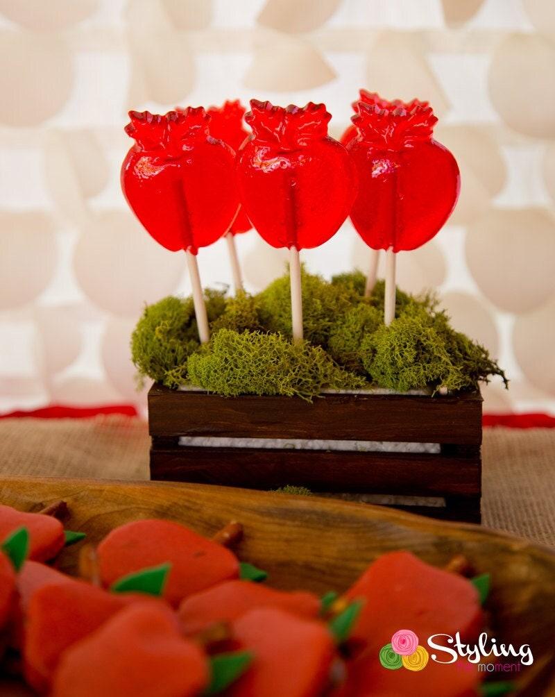 10 large apple lollipops apple party favors snow white themed party