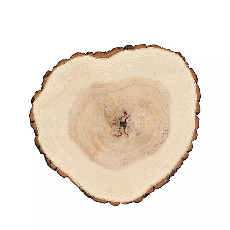 18&#x22; wide Natural Round Poplar Wooden Slices Party Tabletop Wedding Crafts