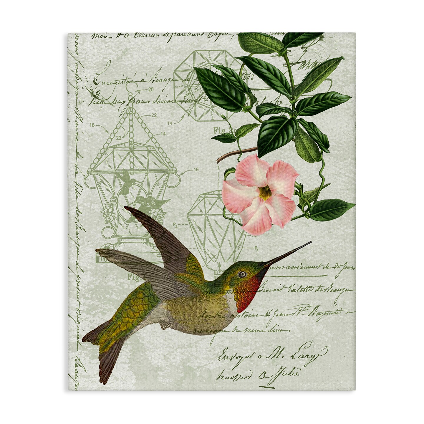 Vintage Hummingbird Feeder Patent Pink Floral Antique Script Canvas Art