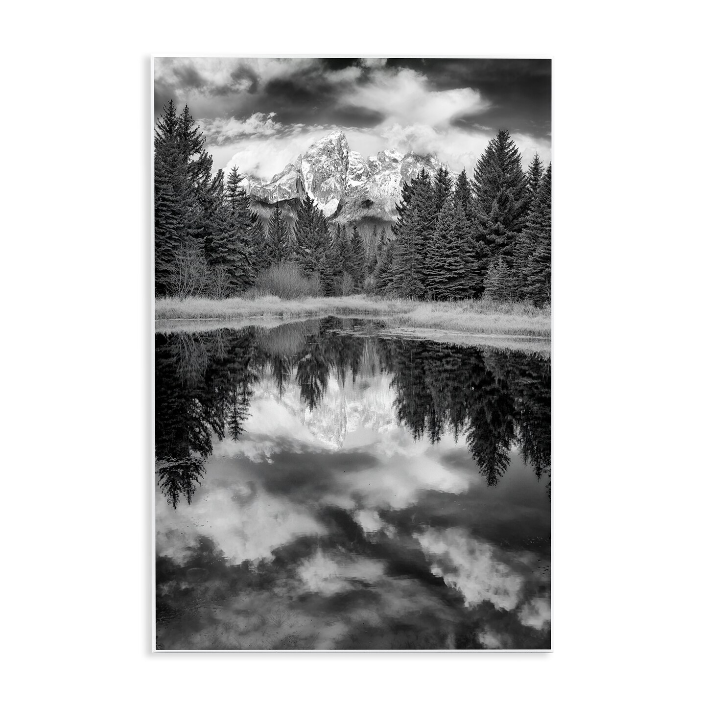 Stupell Industries Black & White Forest Reflection Wall Plaque Art Design by Rick Berk