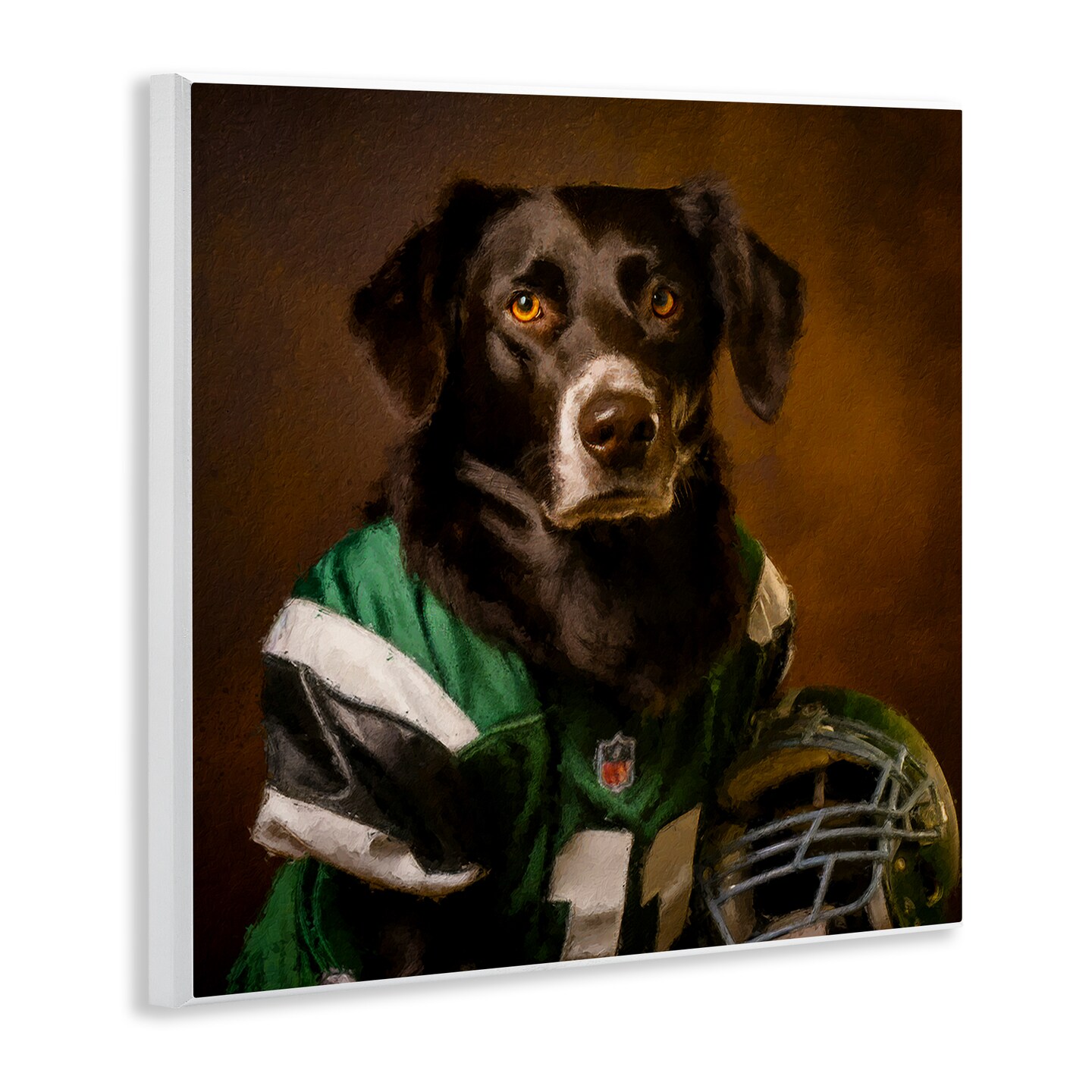 Stupell Industries Football Star Dog Wall Plaque Art Design by Sean Parnell