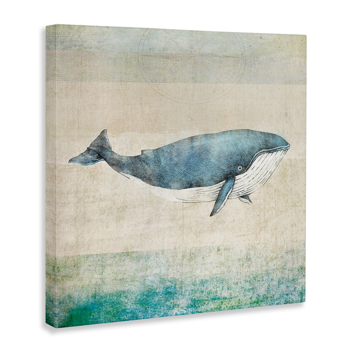 Stupell Industries Rustic Maritime Whale Canvas Wall Art Design by JG Studios