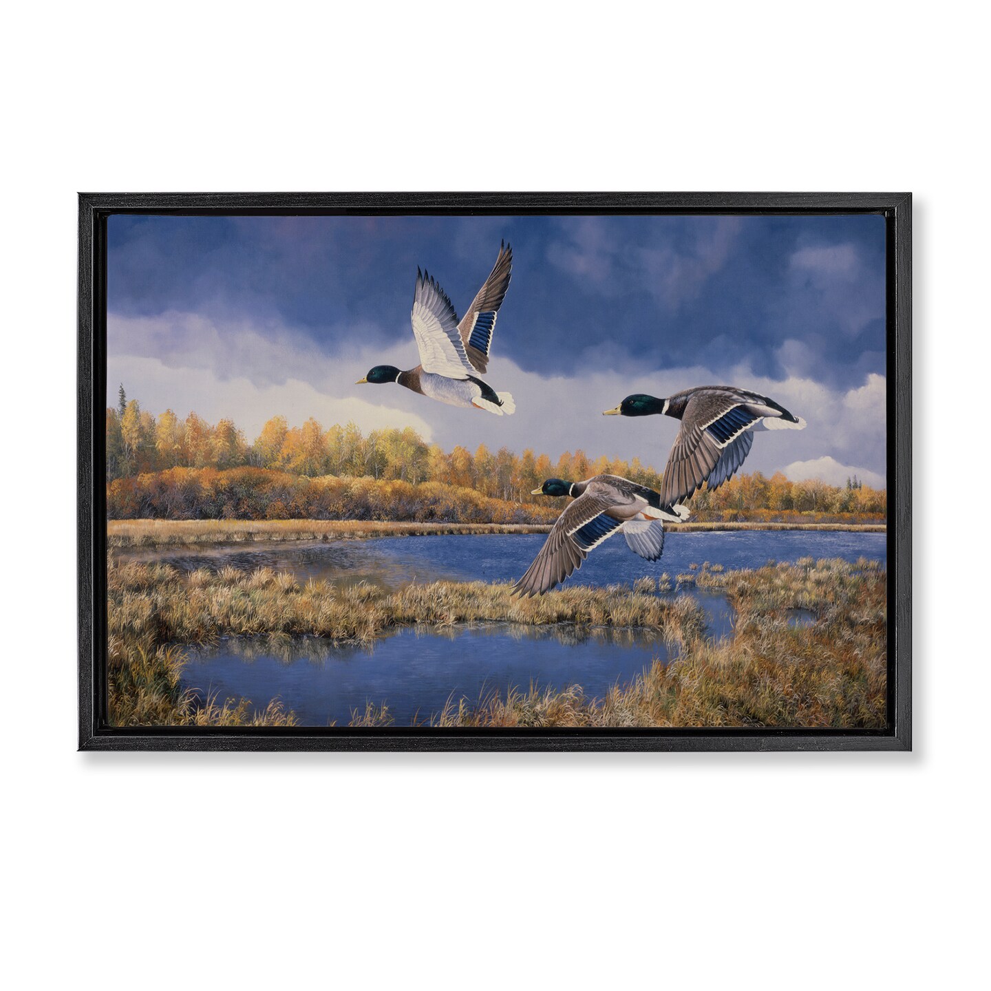 Stupell Industries Ducks Heading South Framed Floater Canvas Wall Art Design by Andrew Kiss