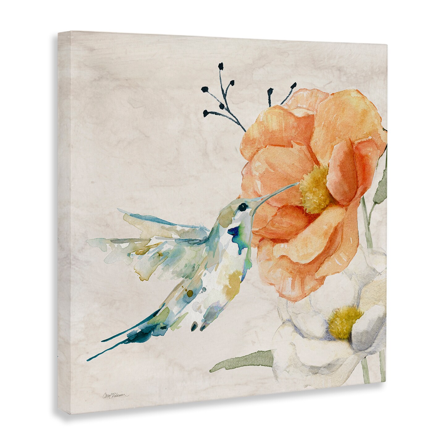 Stupell Industries Blossom & Hummingbird Canvas Wall Art Design by Carol Robinson