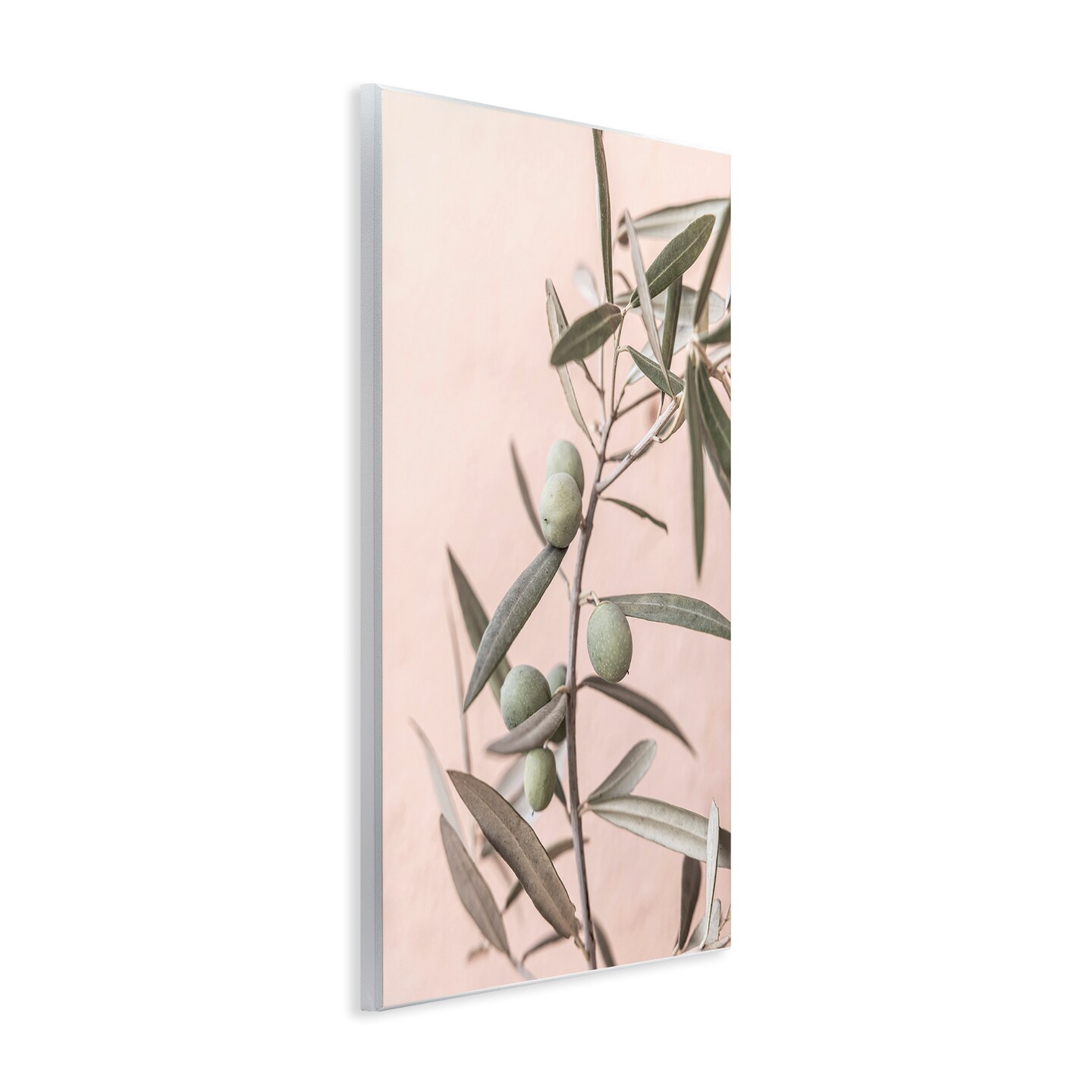 Stupell Industries Spanish Olive Branch Wall Plaque Art Design by Sisi and Seb