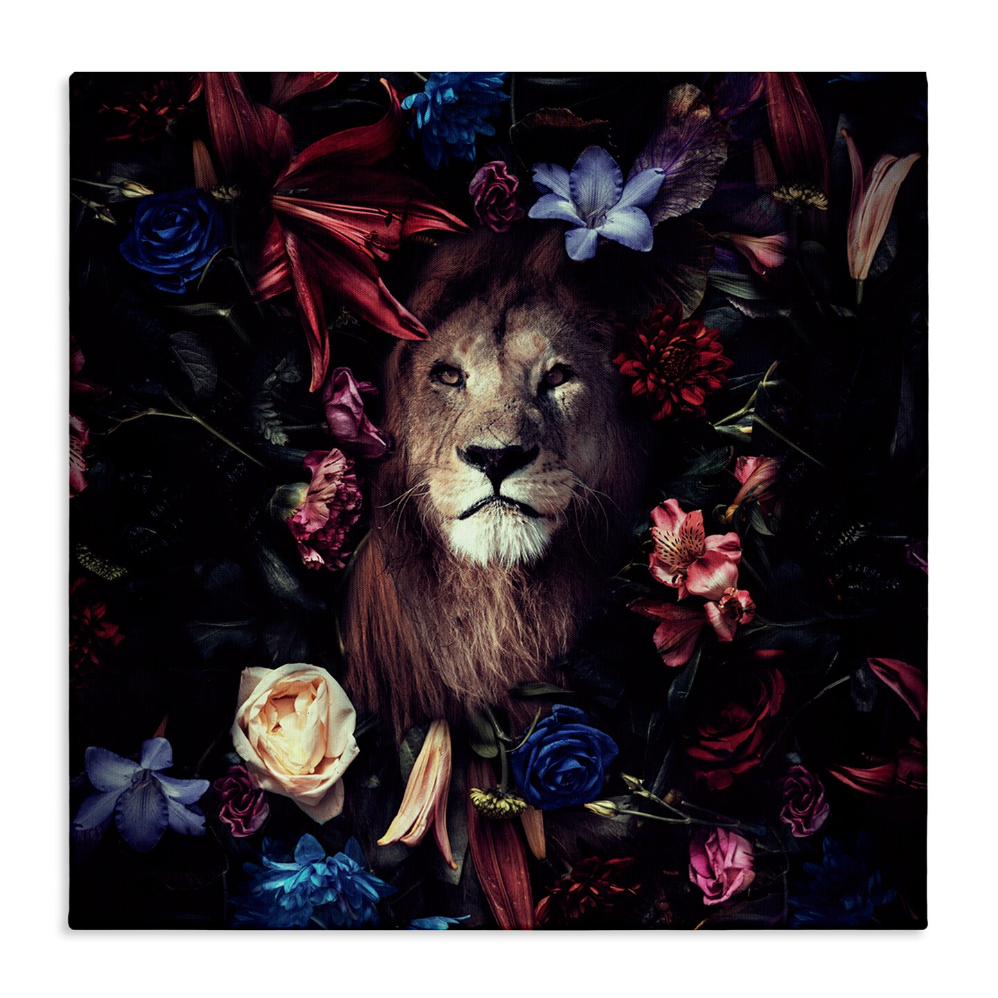 Stupell Industries Lion & Dark Blooms Canvas Wall Art Design by Reinders