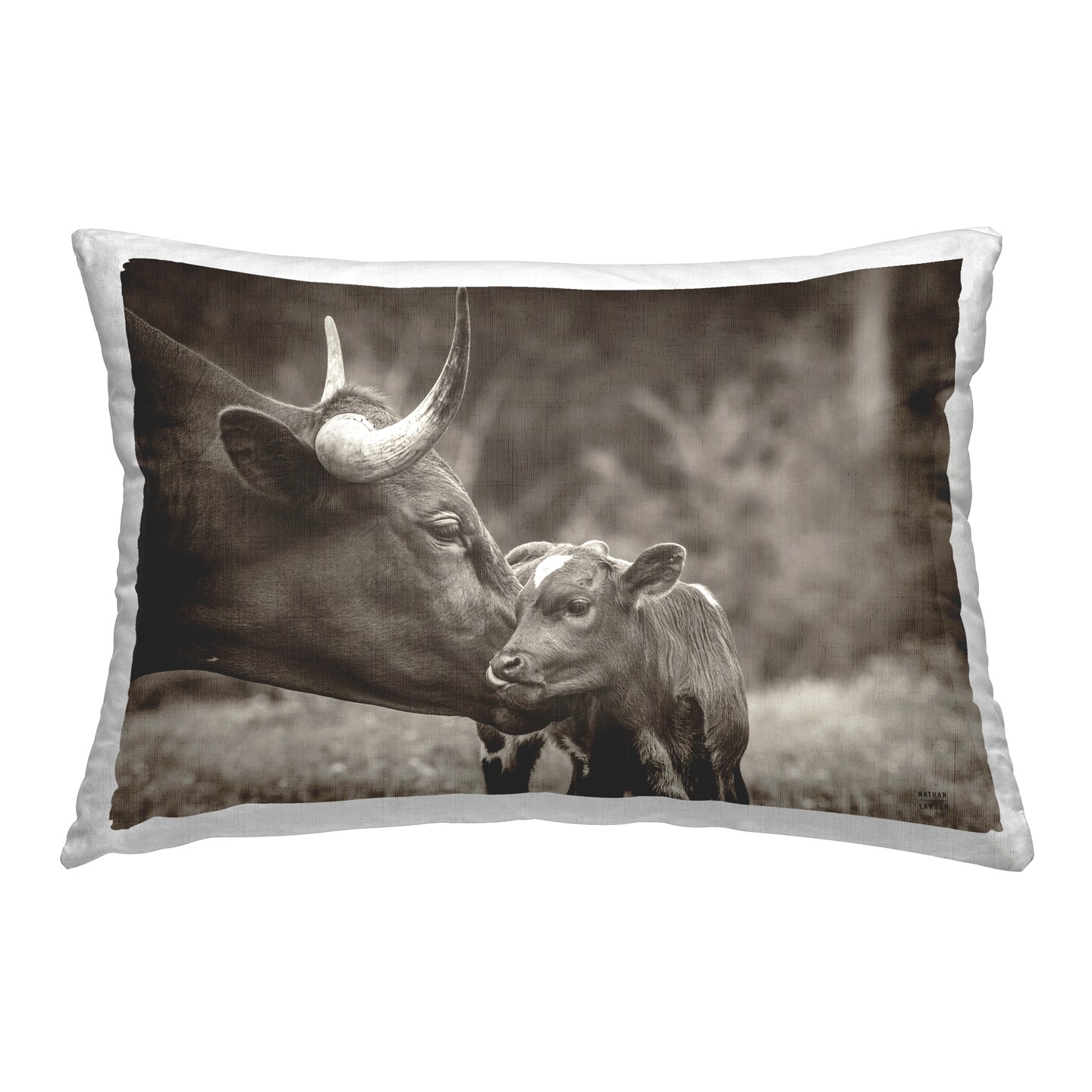 Longhorn Kiss Photography Decorative Printed Throw Pillow Design by Nathan Larson, 14 x 7 x 20