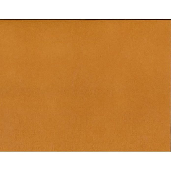 Silhouette Adhesive Cardstock
