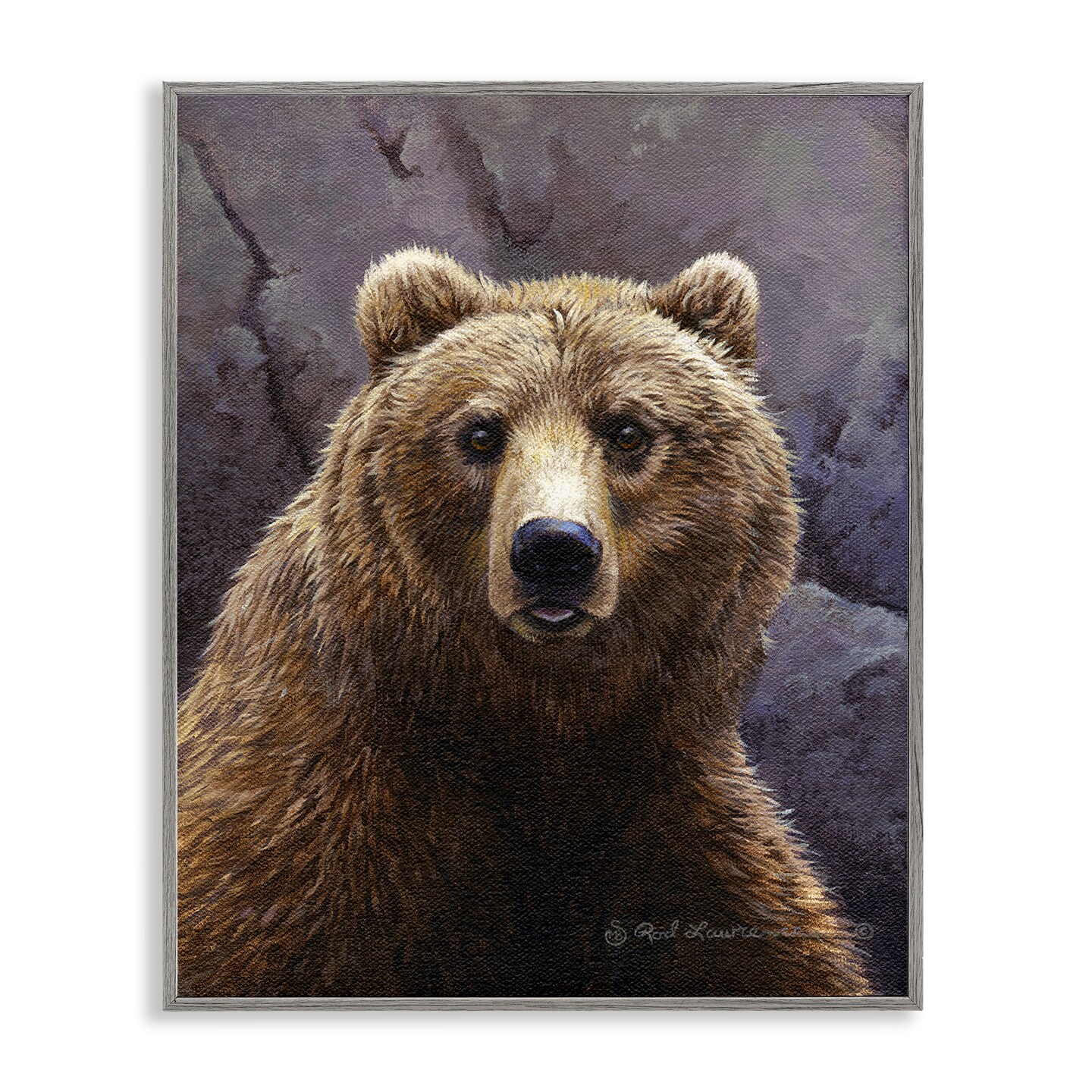 Stupell Industries Surprised Bear Portrait Framed Giclee Wall Art Design by Rod Lawrence