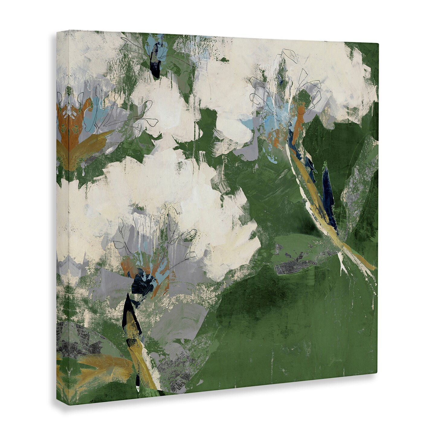 Stupell Industries Green & White Botanicals Canvas Wall Art Design by Liz Jardine