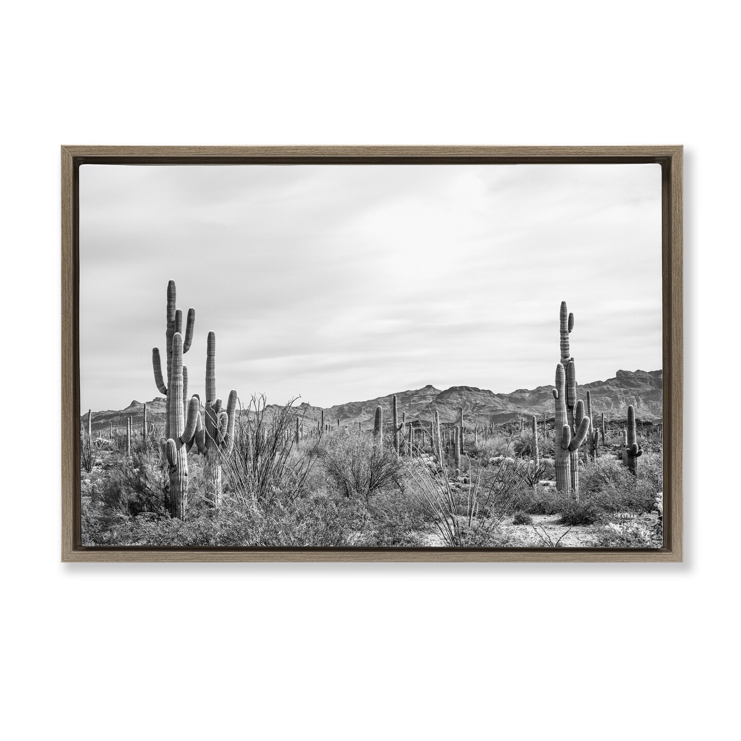 Stupell Industries Sonoran Desert Wonderland Framed Floater Canvas Wall Art Design by Nathan Larson