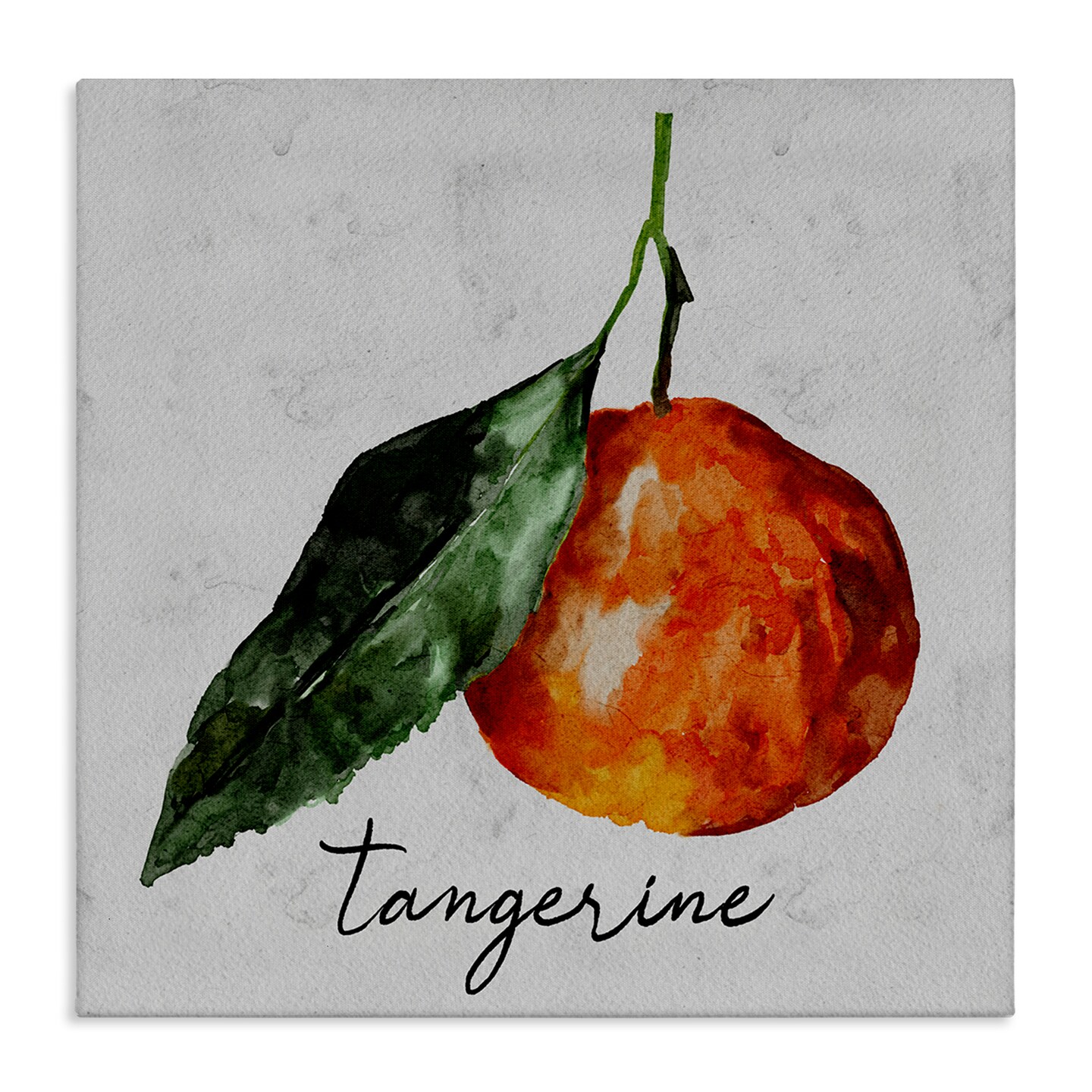 Stupell Industries Vintage Tangerine Fruit Canvas Wall Art Design by Regina Moore
