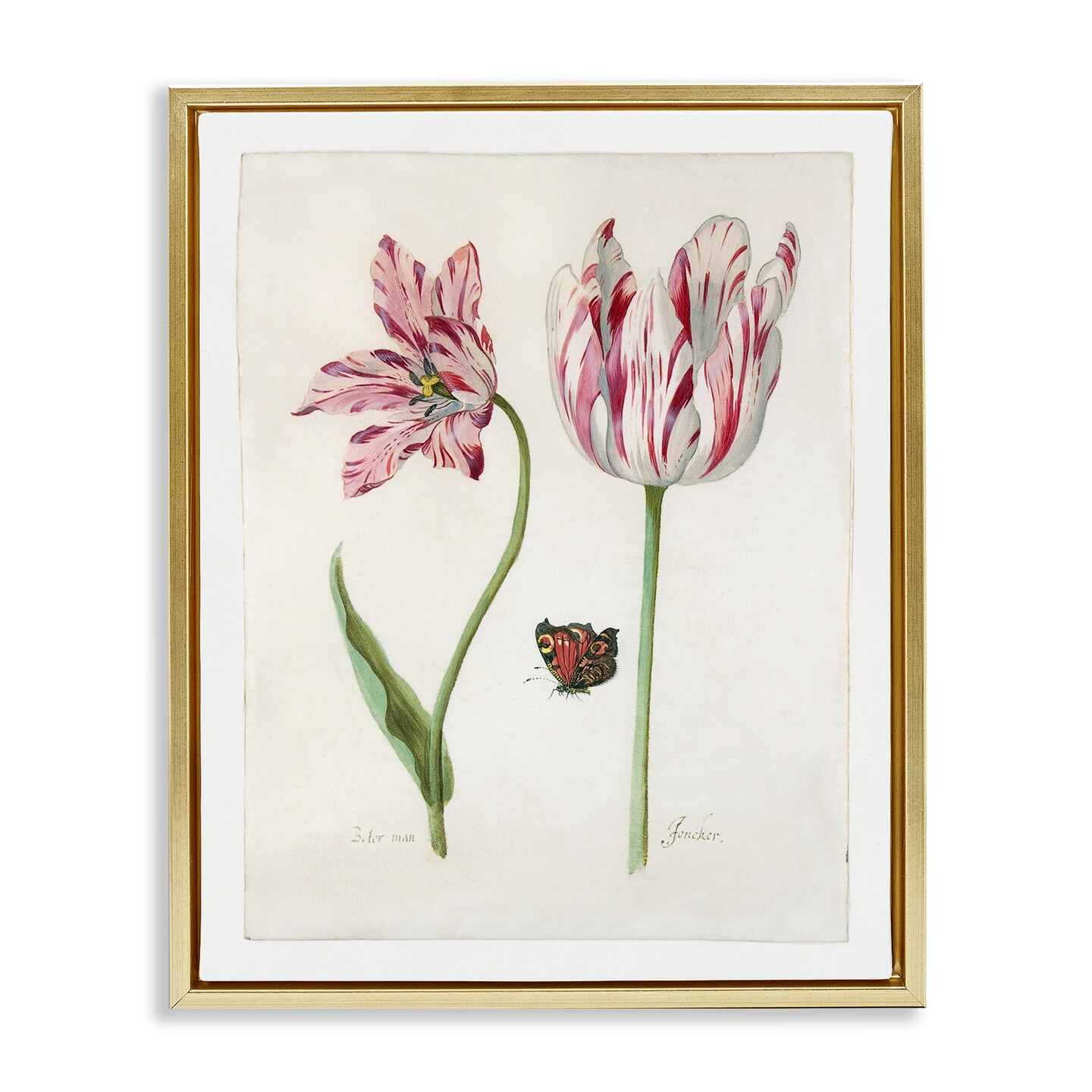 Stupell Industries Classic Tulip & Butterfly Framed Floater Canvas Wall Art Design by Jacob Marrel