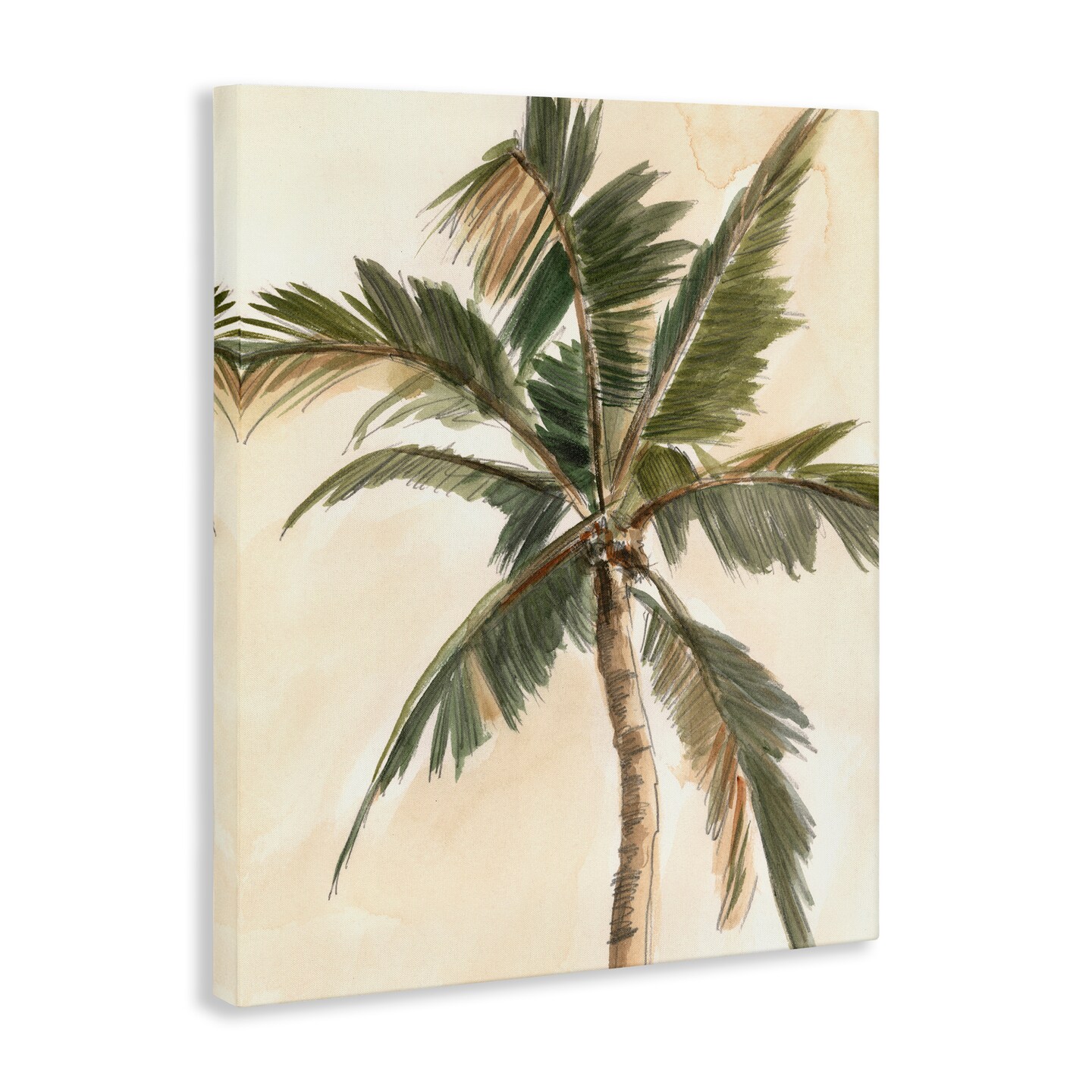 Stupell Industries Muted Palm Tree Canvas Wall Art Design by Ethan Harper