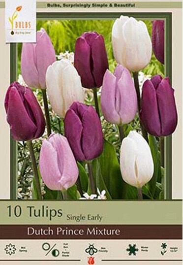 Dutch Prince Mix Tulips 10 Bulbs - 12/+ cm - Single Early Blooms