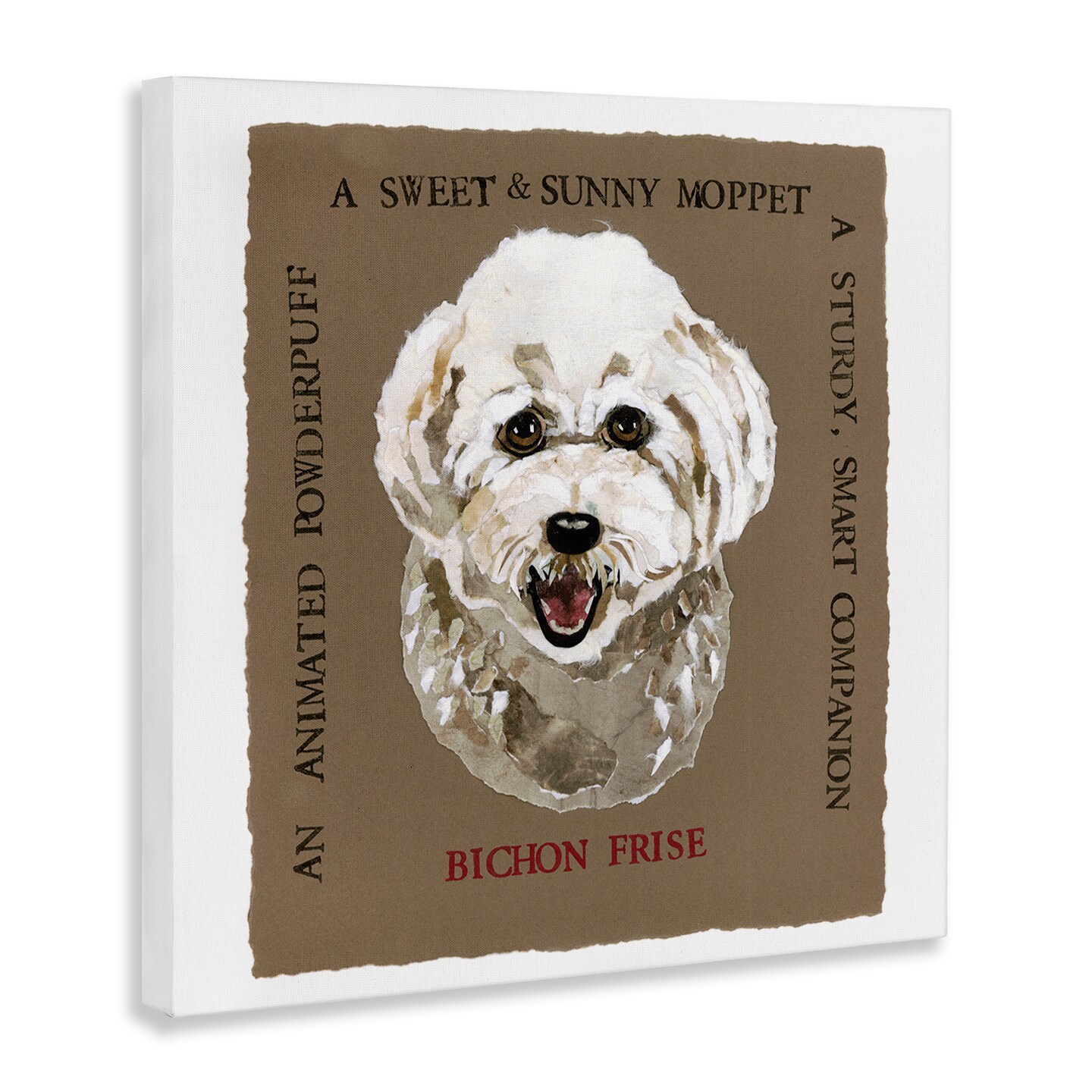 Stupell Industries Fun Bichon Frise Phrases Canvas Wall Art Design by Nancy Overton