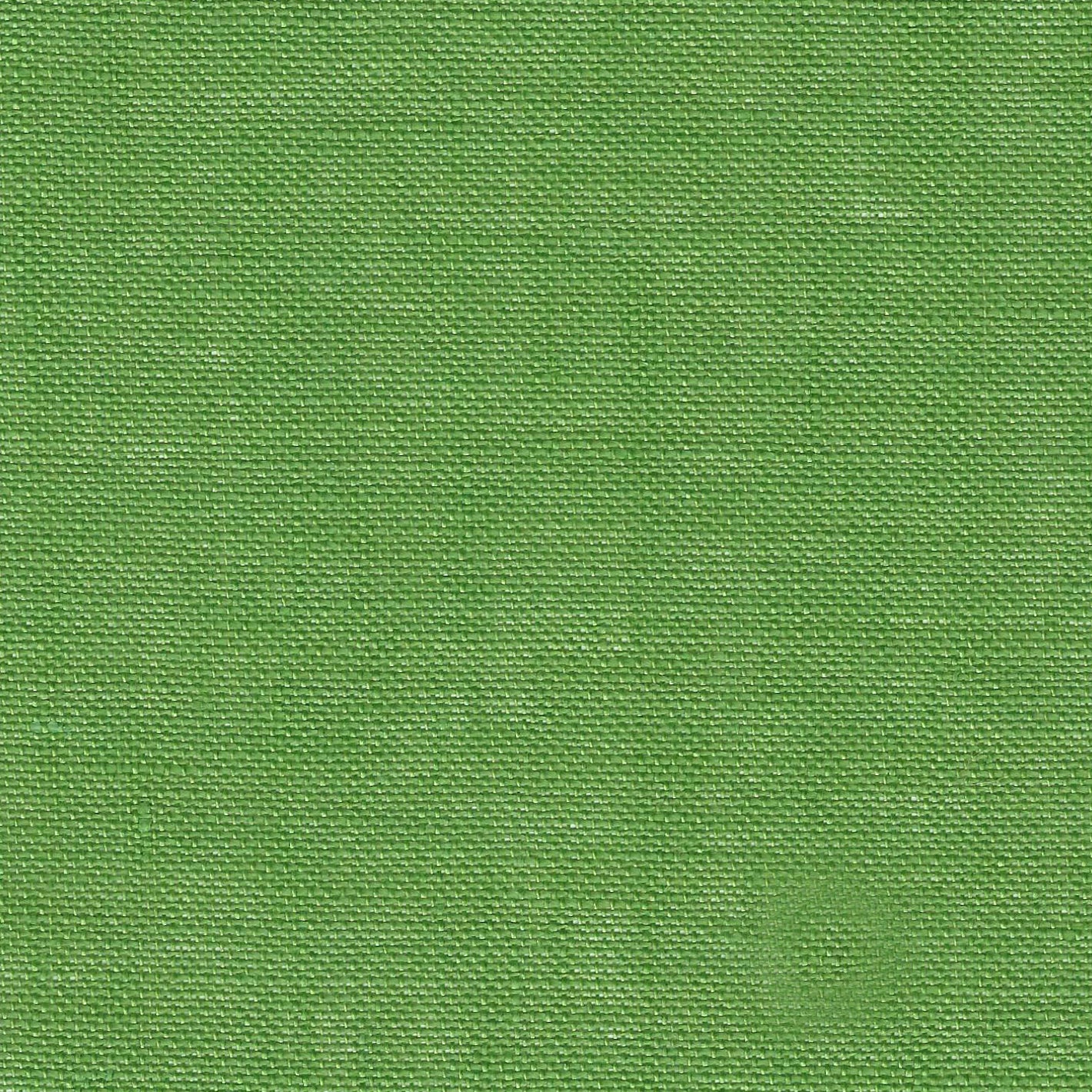 Precut Zweigart Cashel 28 count Grass Green