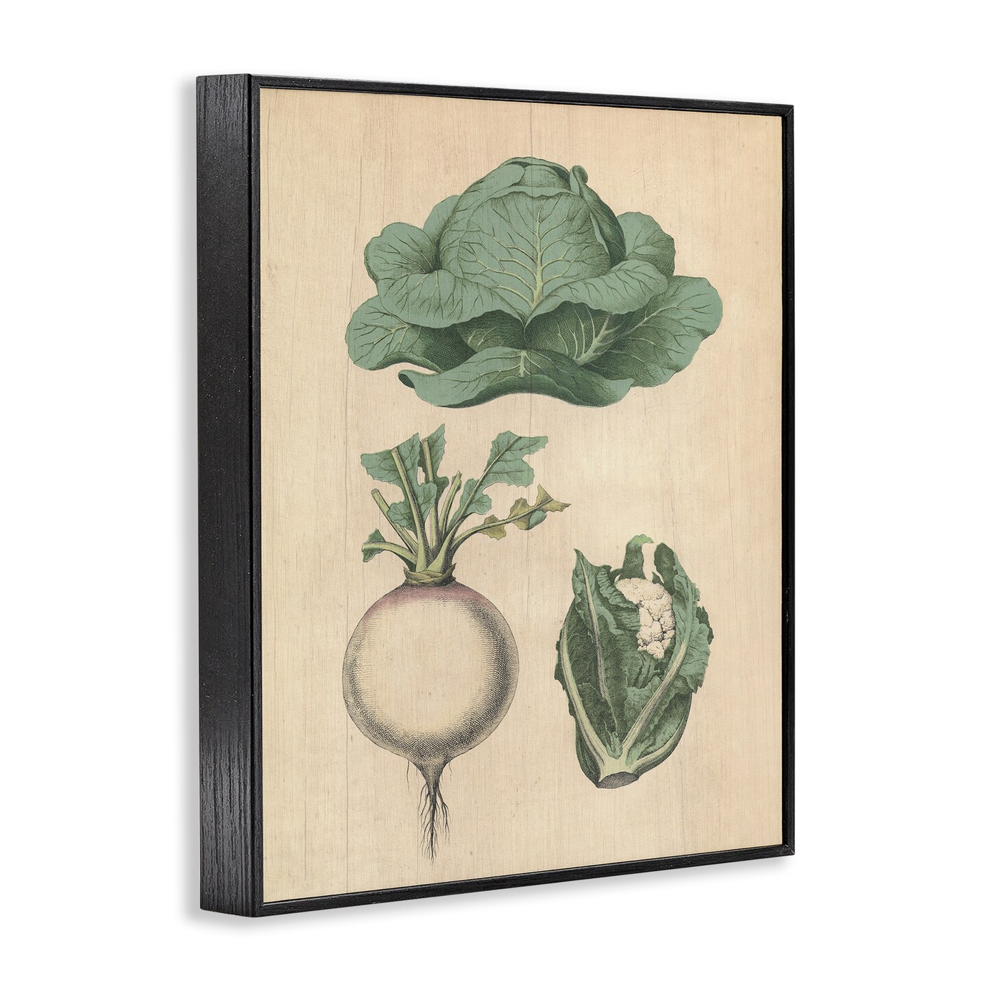 Stupell Industries Vintage Garden Vegetables Framed Giclee Wall Art Design by Daphne Polselli