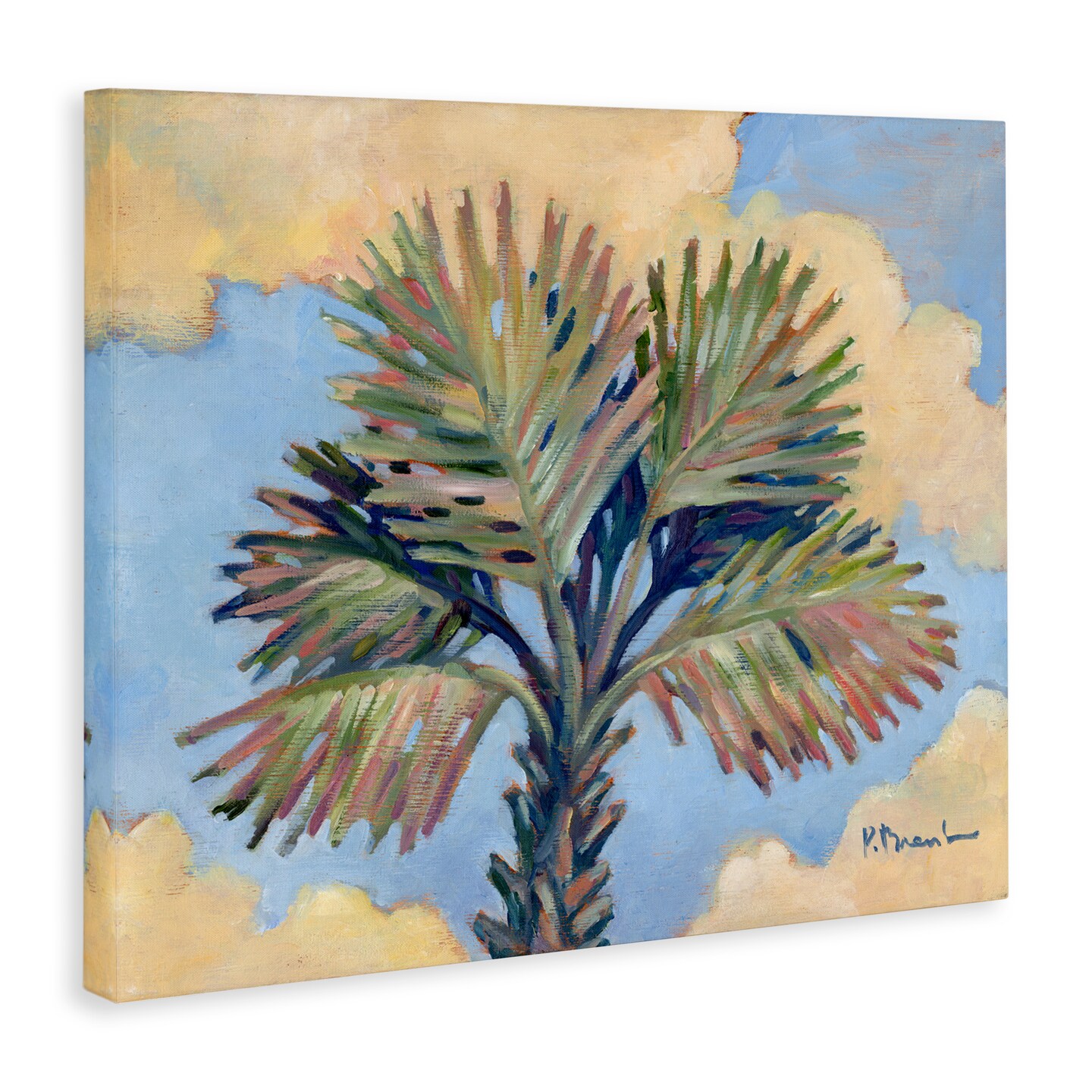 Stupell Industries Summer Californian Palm Canvas Wall Art Design by Paul Brent