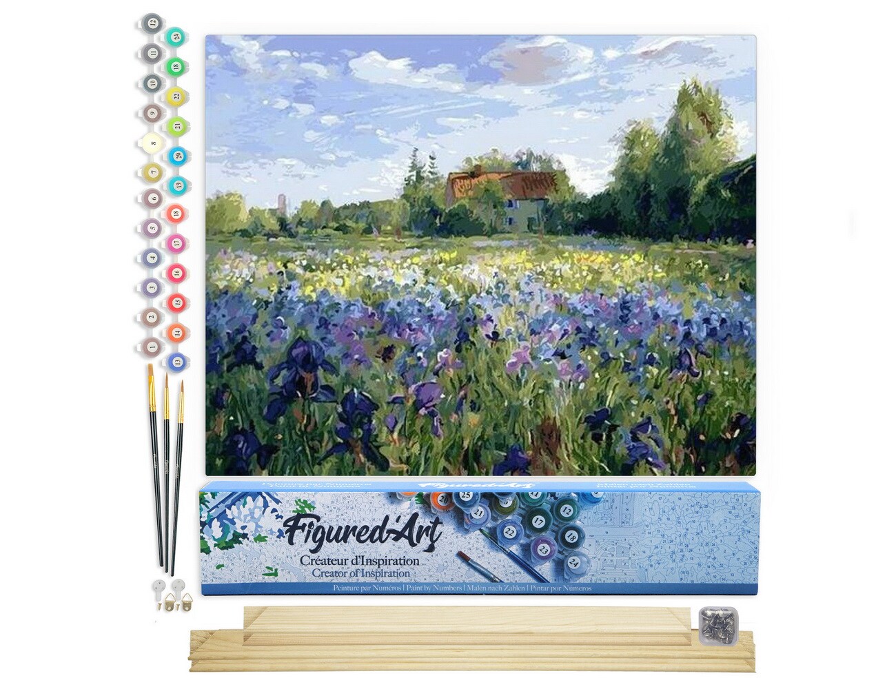 Figured&#x27;Art Paint by Numbers Kit for Adults Countryside field and Blue Flowers 16&#x22;x20&#x22; - Craft Art Painting Rolled Canvas with DIY wooden frame