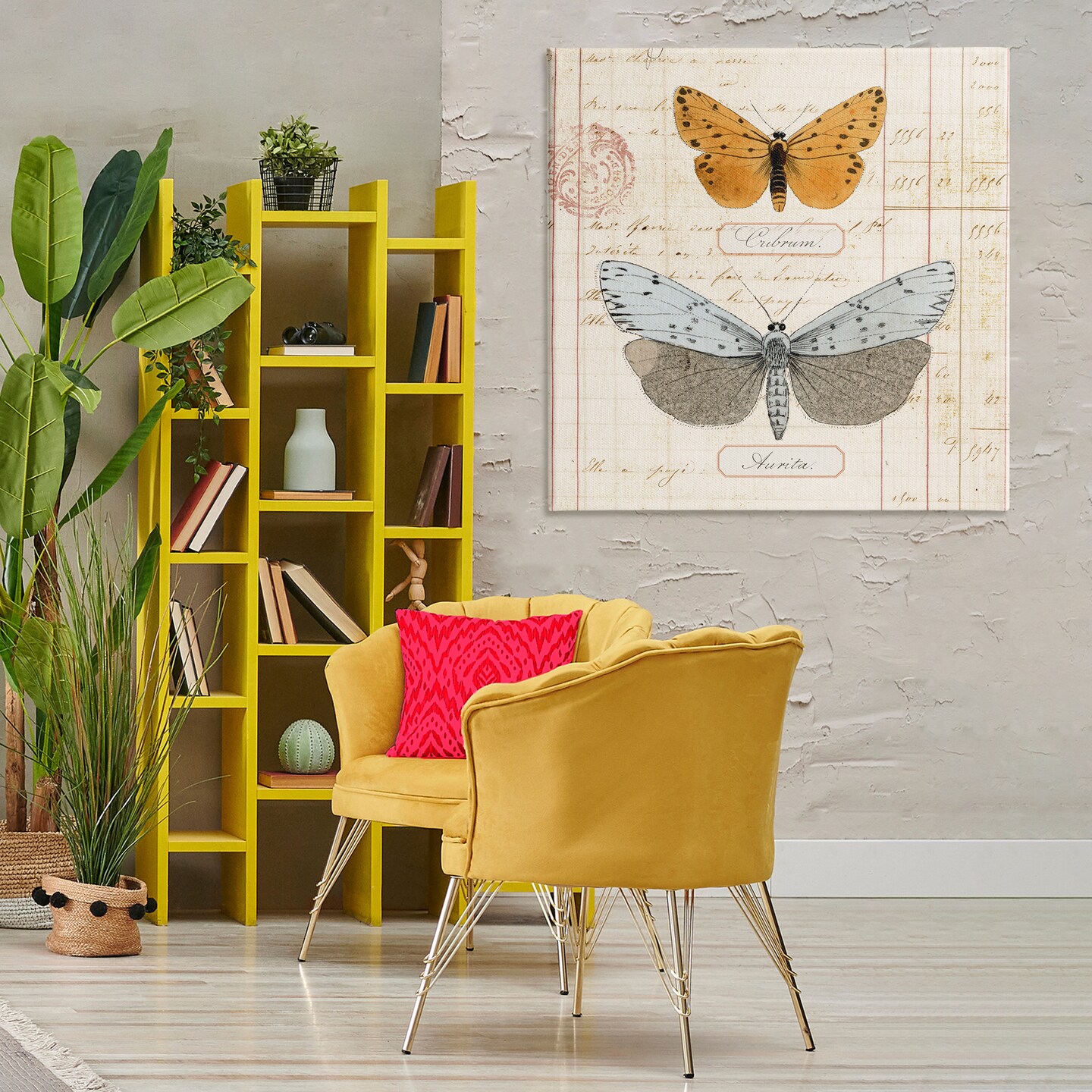 Stupell Industries Vintage Butterfly Specimen Canvas Wall Art Design by Susan Arnot