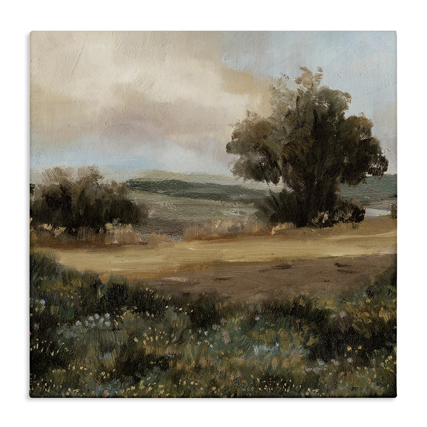 Stupell Industries Vast Country Terrain Canvas Wall Art Design by Cloverfield &#x26; Co.