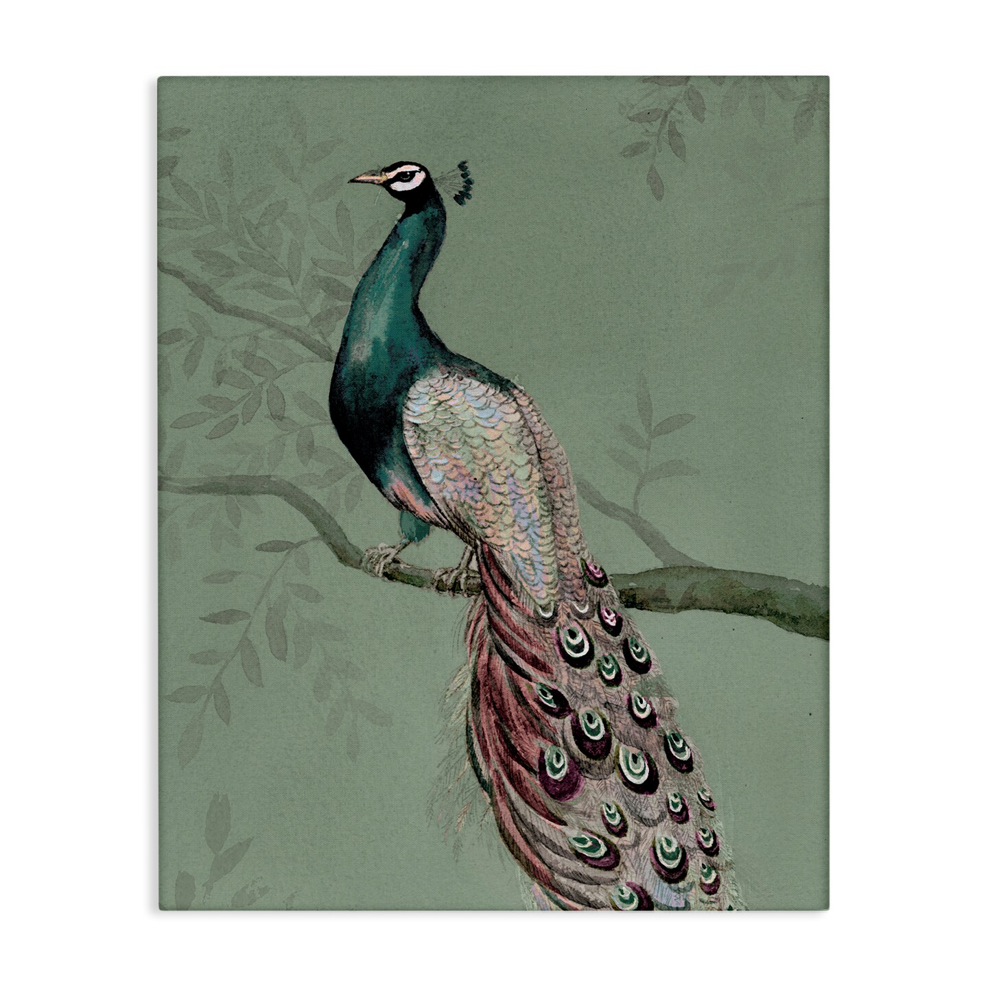 Stupell Industries Regal Peacock on Branch Canvas Wall Art Design by Cloverfield & Co.