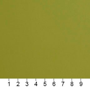 Apple - Green Leather Grain,Plain & Solid Upholstery Fabric 54 Inches"