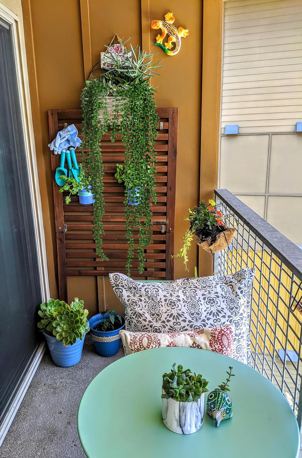 pothos plant pictures Pothos 'Neon Queen'  Mickey Hargitay Plants