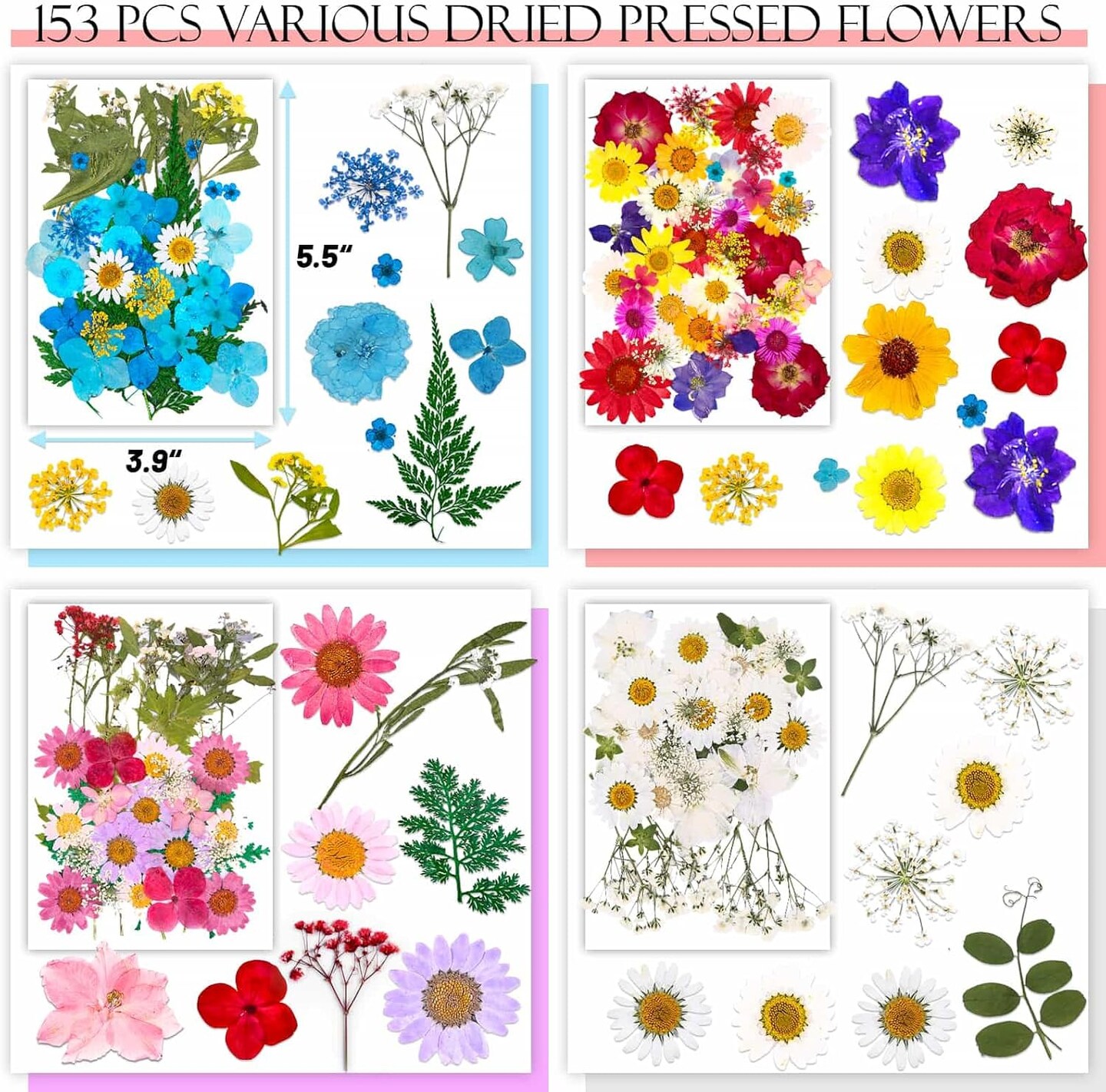 153-Piece Dried Pressed Flowers for Crafts – Real Wildflowers & Leaves for Resin, Jewelry, Candle, Soap, Scrapbooking, Bookmarks, Nail Art – Tweezers Included (4 Sheets Dried Flowers)