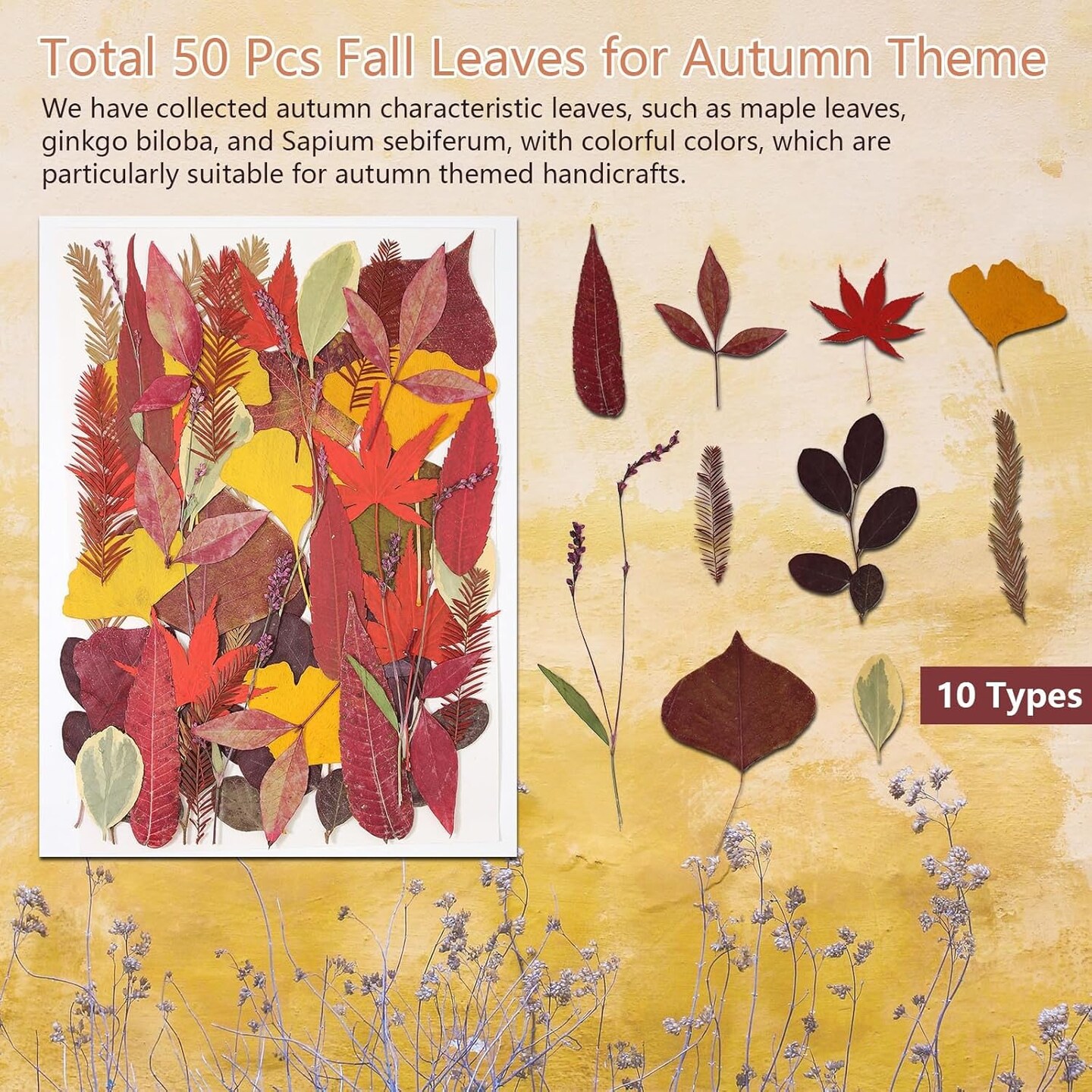 A5 Large Bulk Fall Dried Pressed Leaves