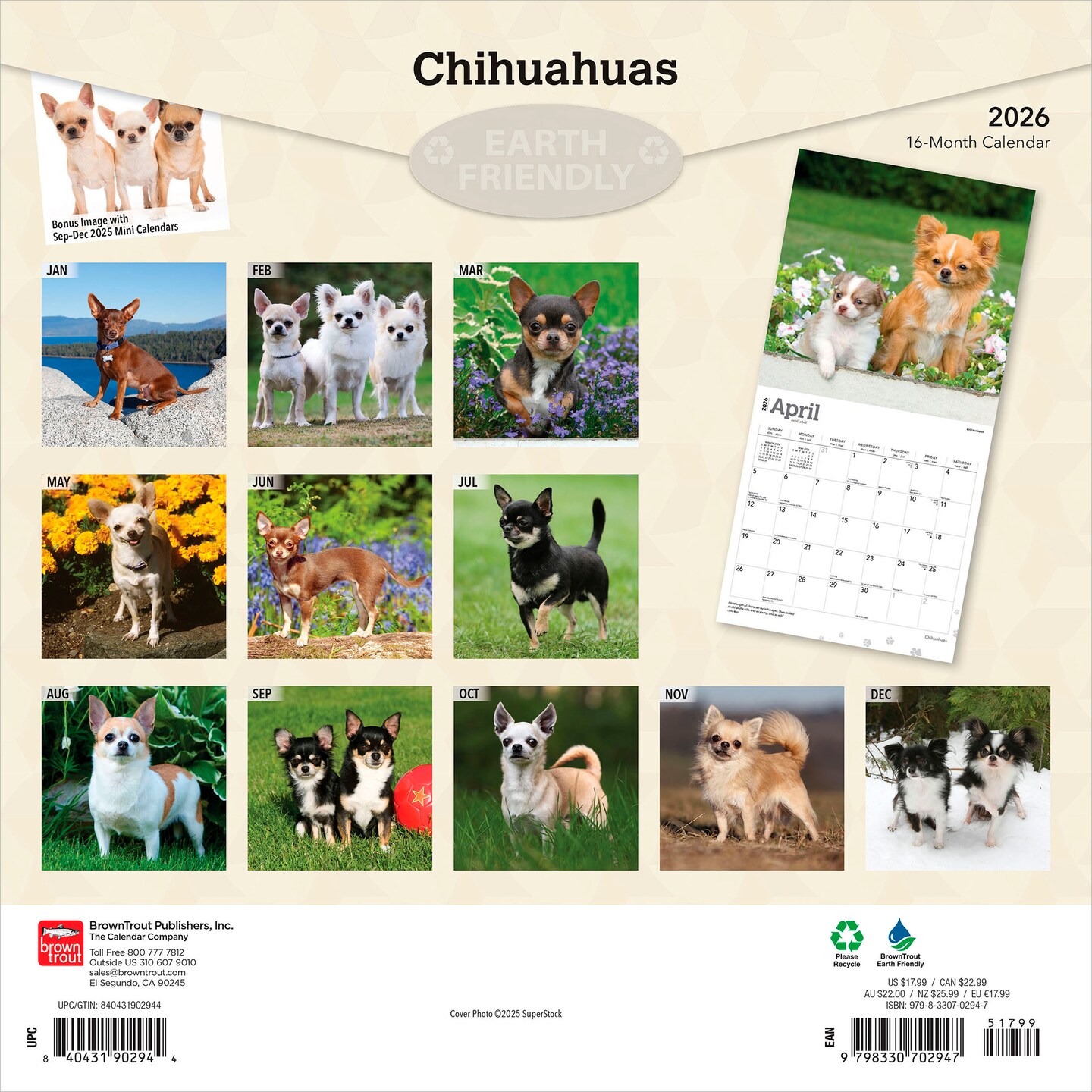 Chihuahuas | 2026 12 x 24 Inch (Hanging) Monthly Square Wall Calendar | Plastic-Free