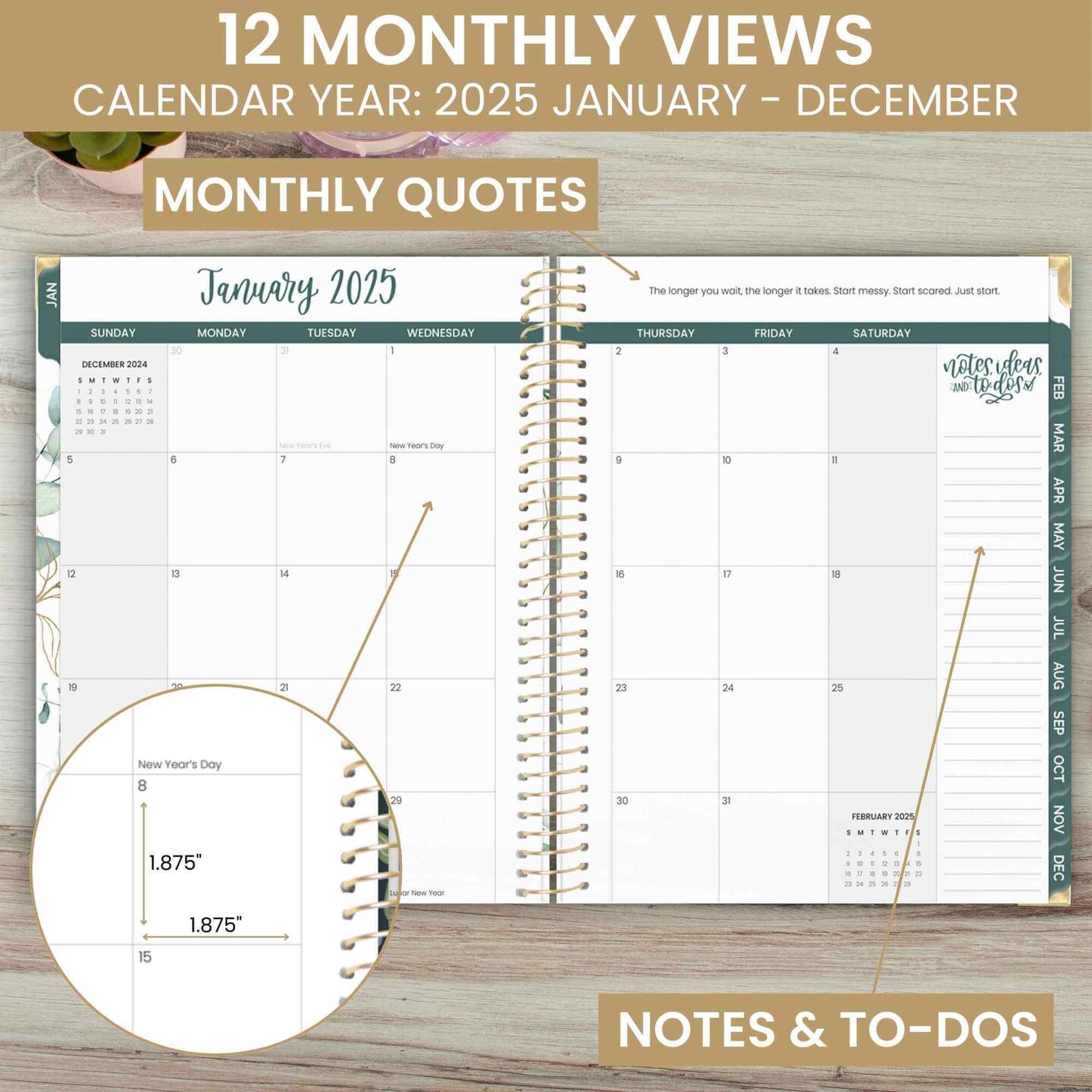 bloom daily planners 2025 Hard Cover Planner, 8.5&#x22; x 11&#x22;, Eucalyptus, White