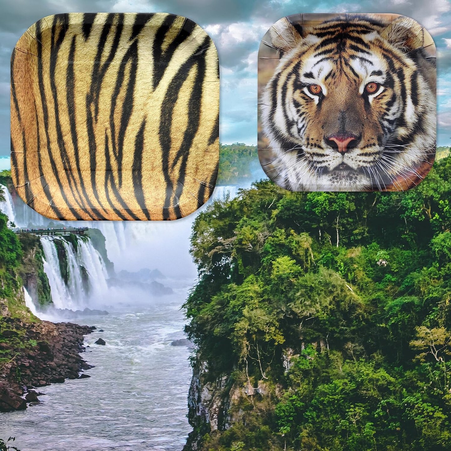 Tiger Theme Party Pack for 24 Guests! Photo-Realistic Tiger Supplies for a Roaring Good Birthday, Football, or any Big Cat Event! Includes 24 Dinner Plates &#x26; 24 Side Plates